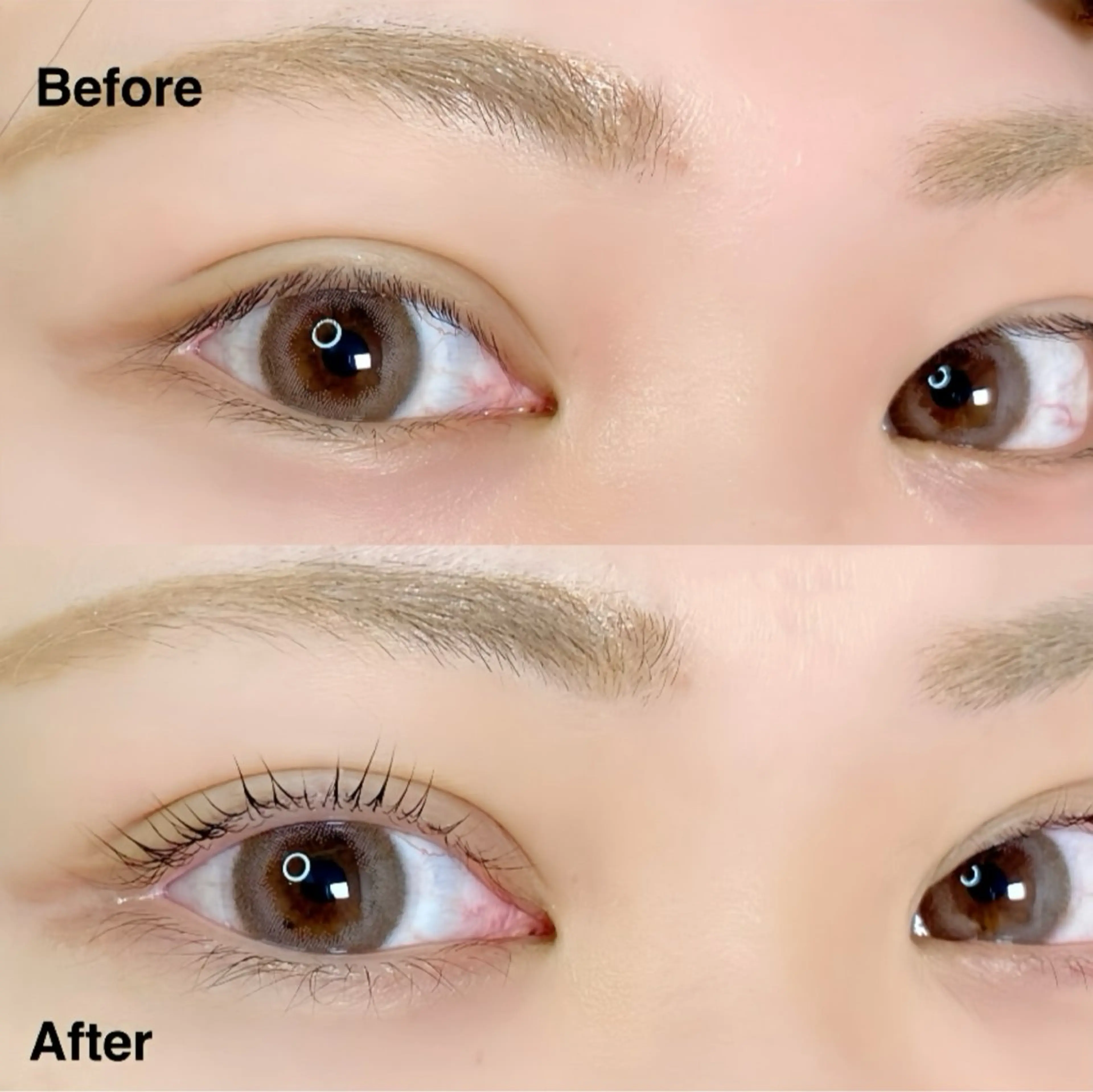 マツエク・マツパ パリジェンヌラッシュリフト Blanc梅田茶屋町 【まつげパーマ・眉】のマツエク・マツパデザイン