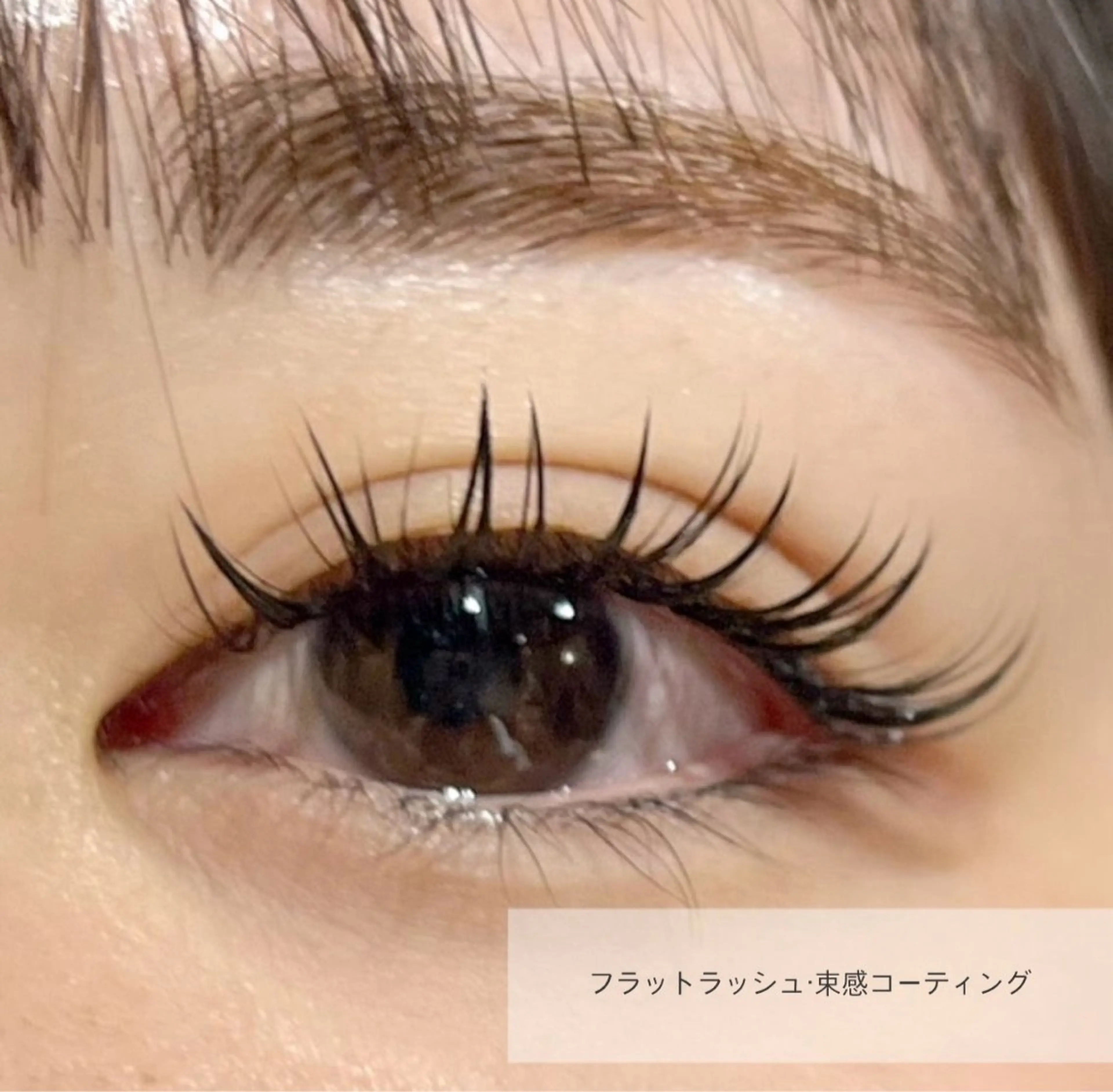 マツエク・マツパ 束感まつ毛 フラットラッシュ マツエク 錦糸町eyelist RION🦋のマツエク・マツパデザイン
