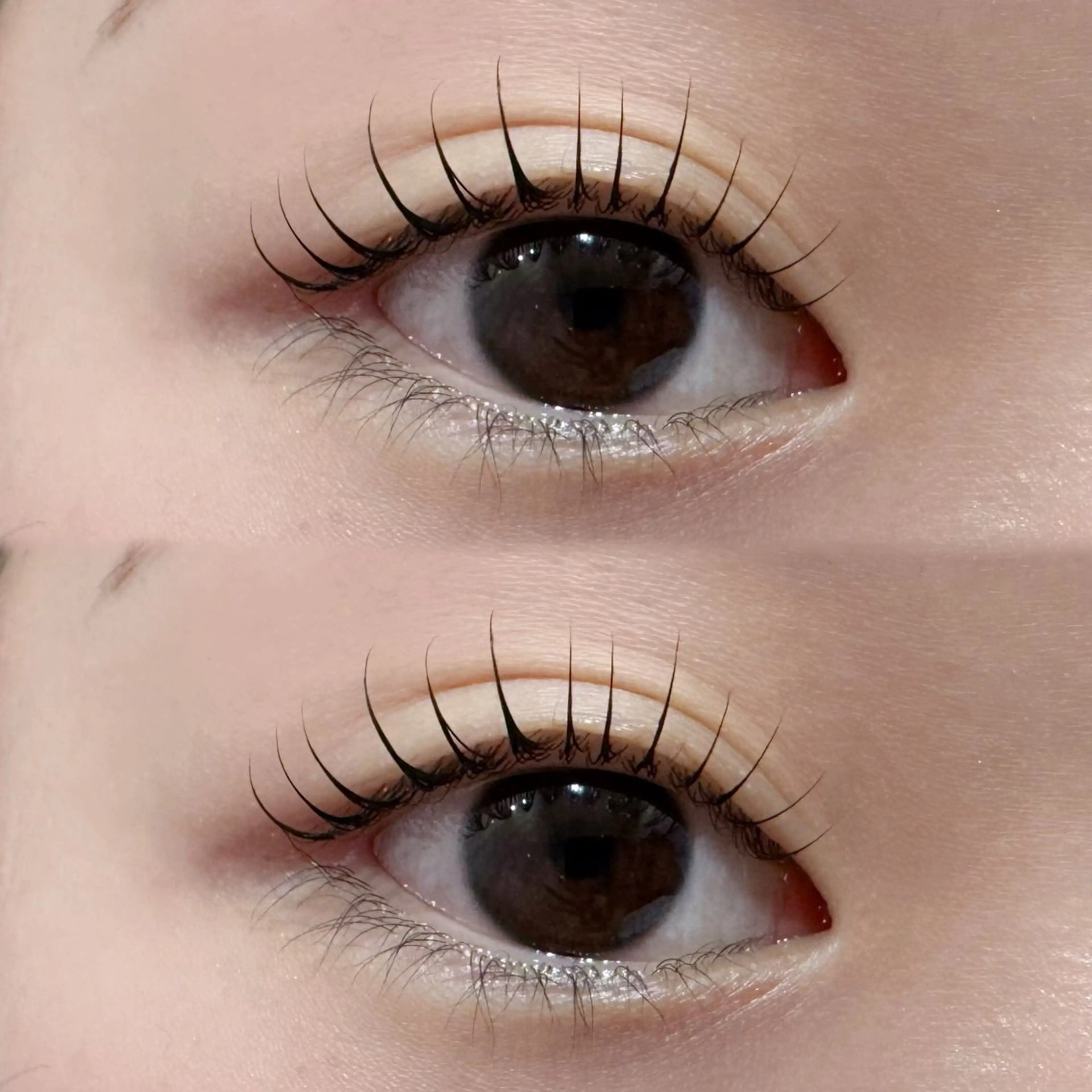 マツエク・マツパ マツパ Chaton KANAGAWAのマツエク・マツパデザイン