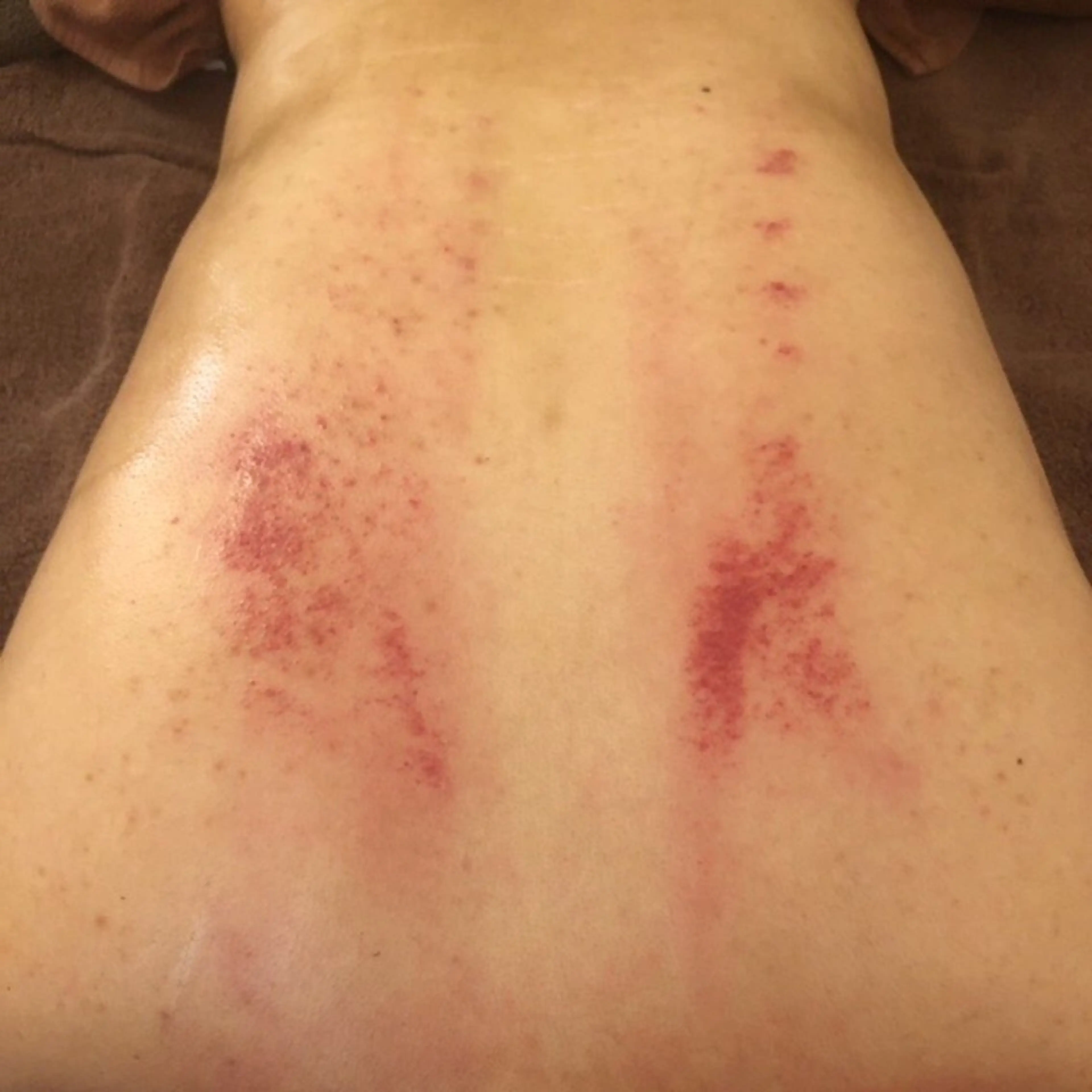 香りの家ローズマリー 🌿アロマリンパのエステ・リラクイメージ