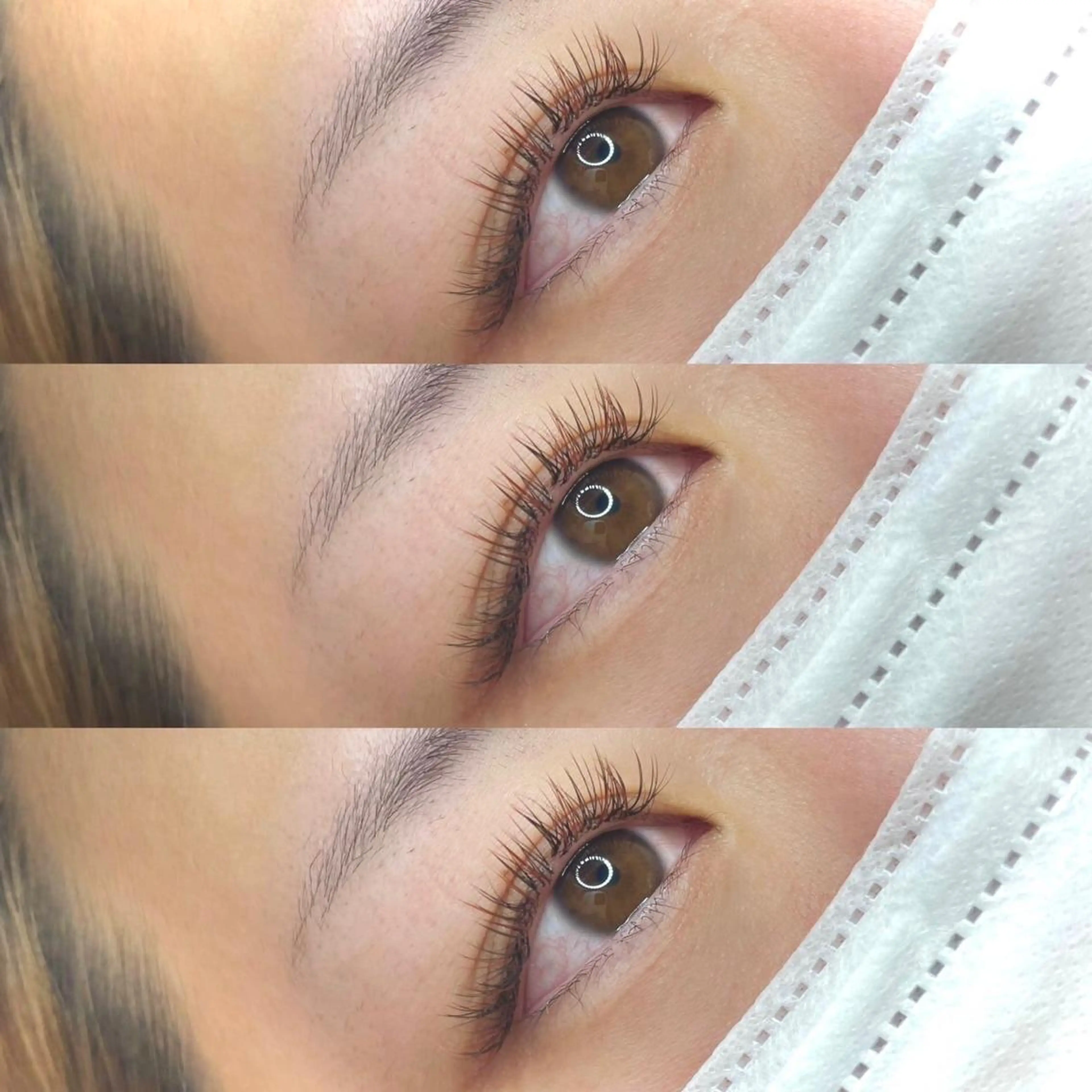 ▷ダブルフラット60束120本オフ込みの写真