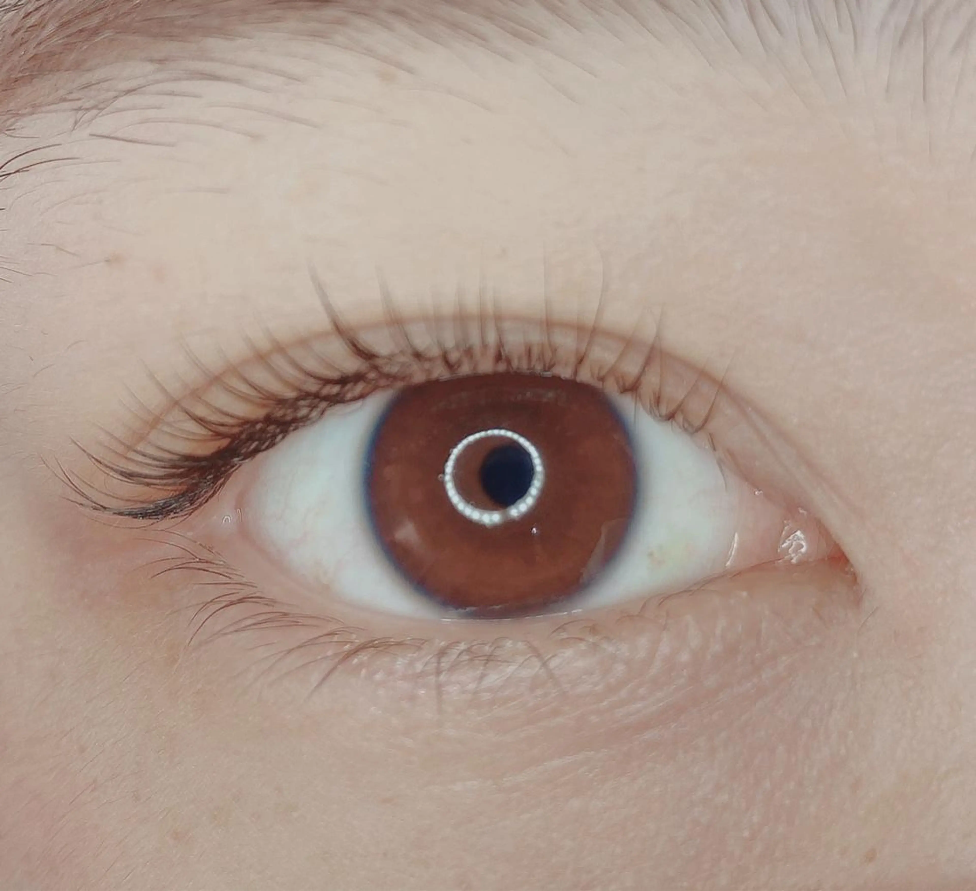 マツエク・マツパ ナチュラル TIARA池袋西口店 店長YASUKA💐のマツエク・マツパデザイン