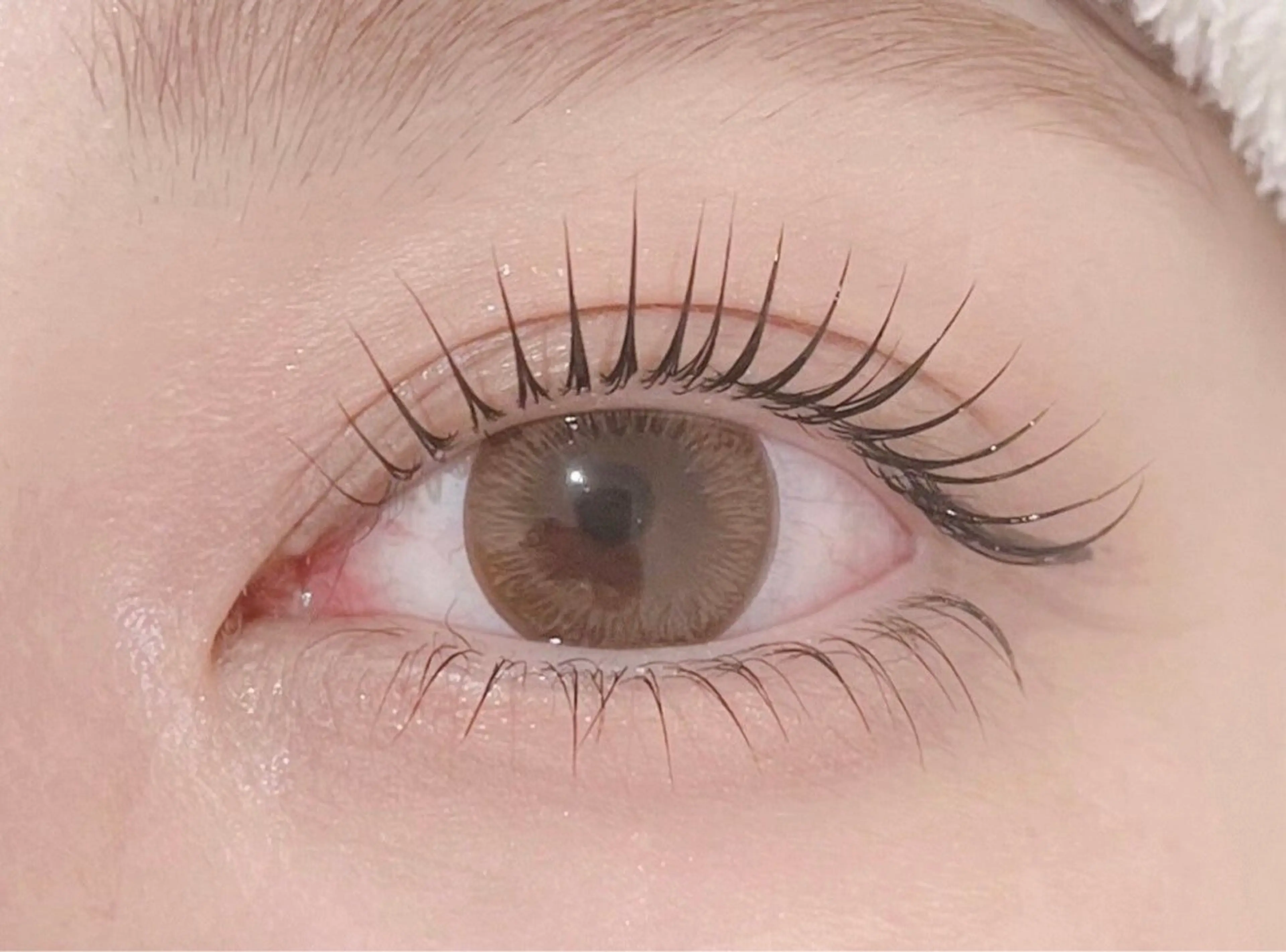 【No.5🌿】上下パリジェンヌラッシュリフト(アイシャンプー付き🫧)の写真