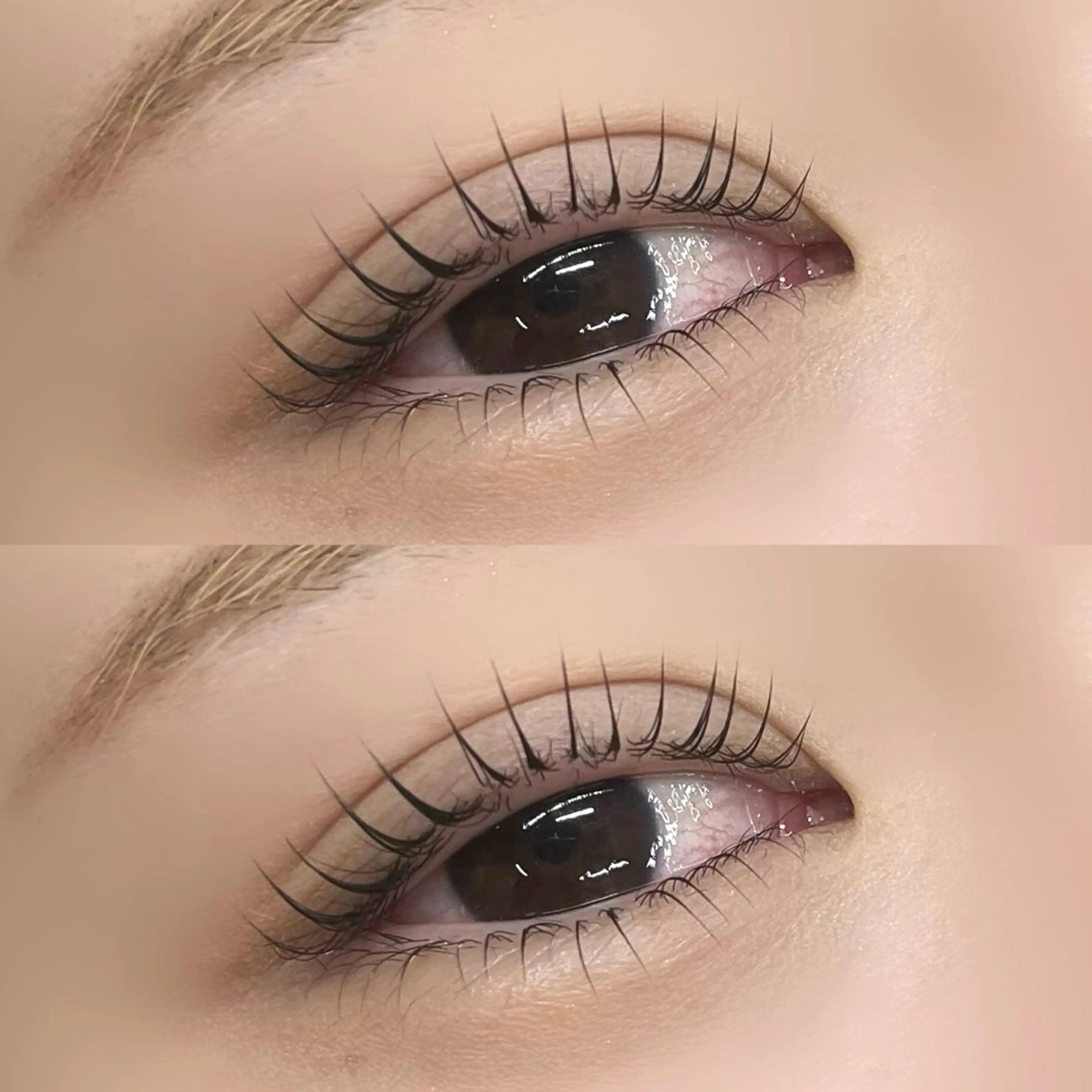 《当日予約限定》上下パリジェンヌラッシュリフト♡コーティング仕上げ付き✨¥7000の写真