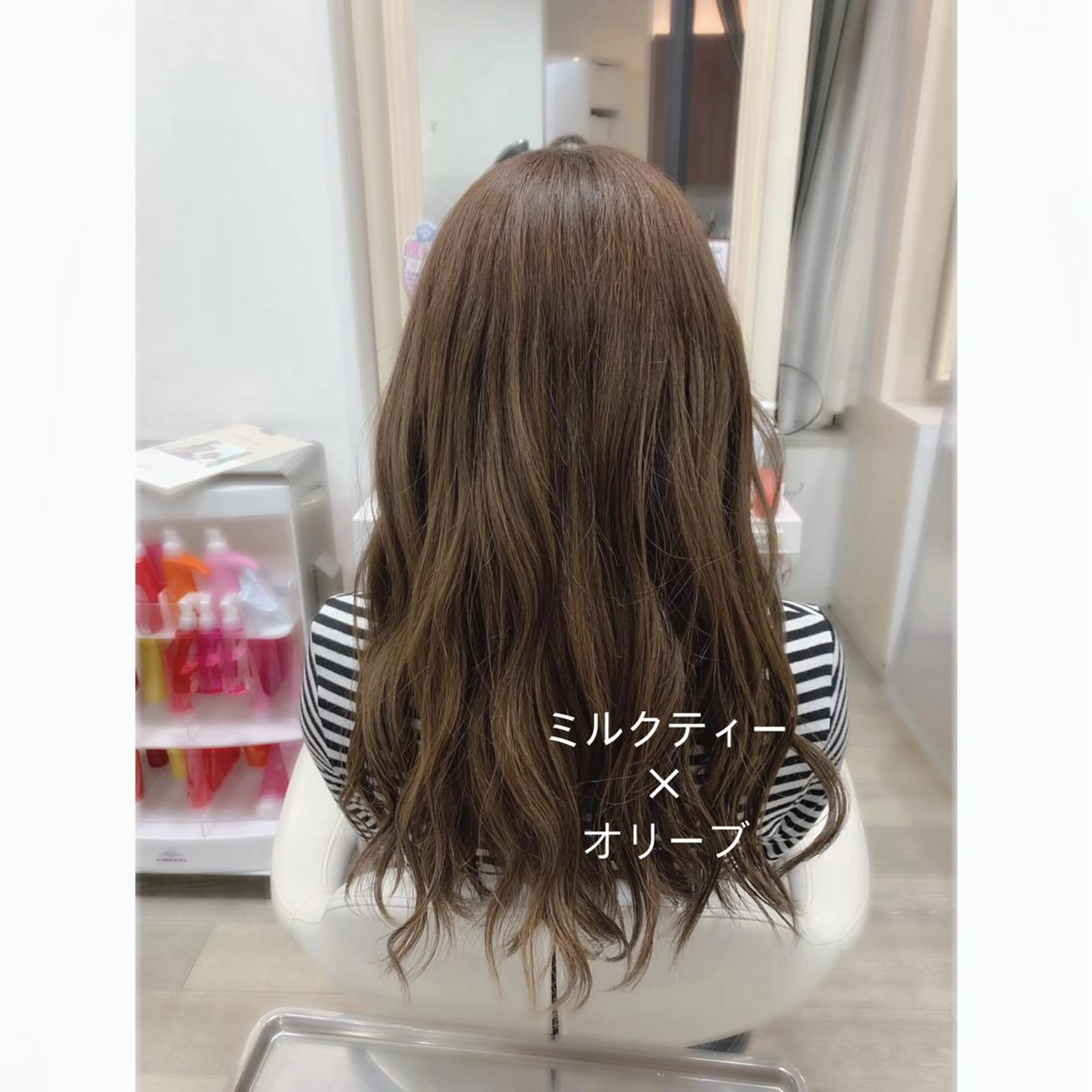 🐱カラー🐱の写真