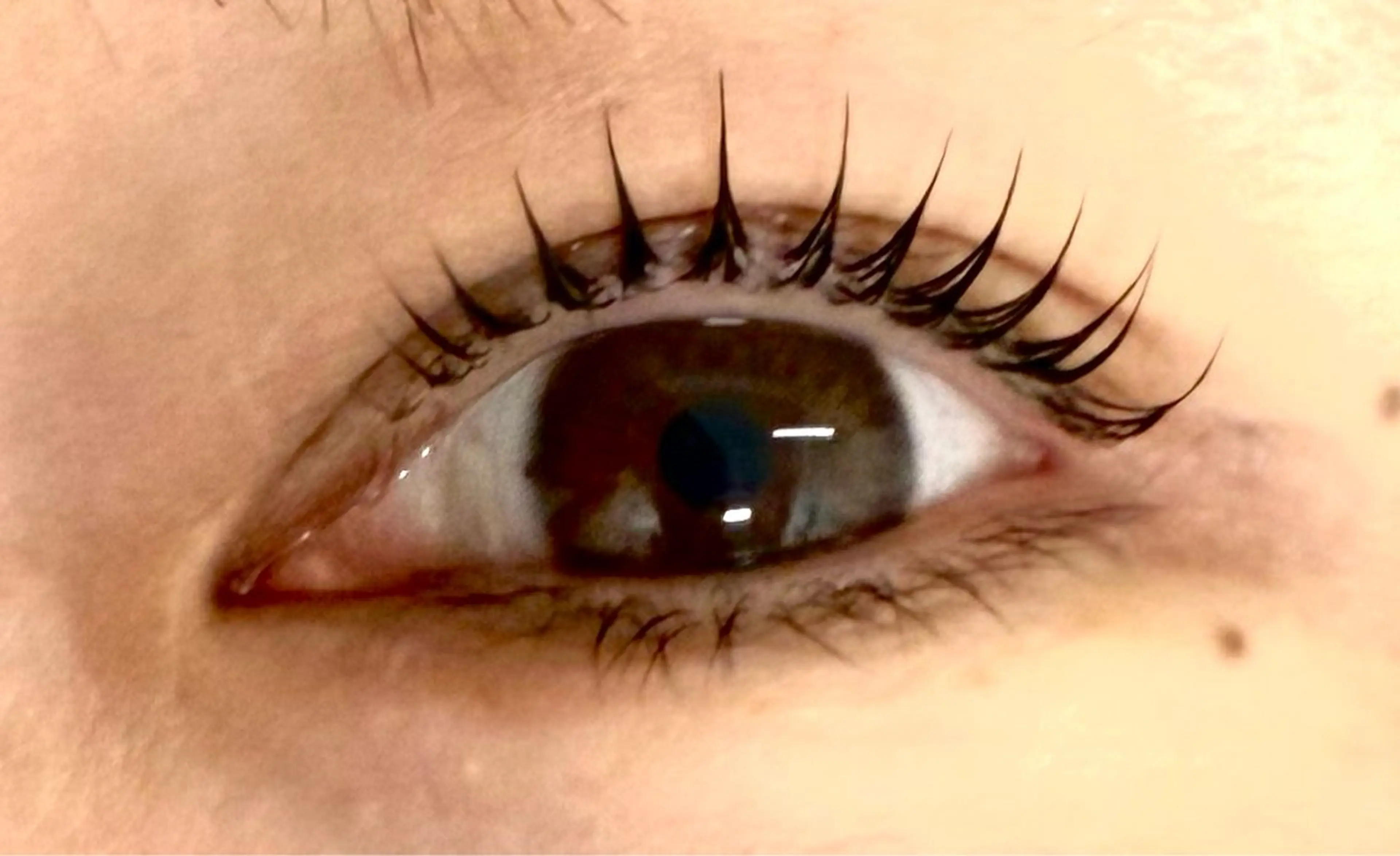 マツエク・マツパ haruka 【ever天神店】のマツエク・マツパデザイン