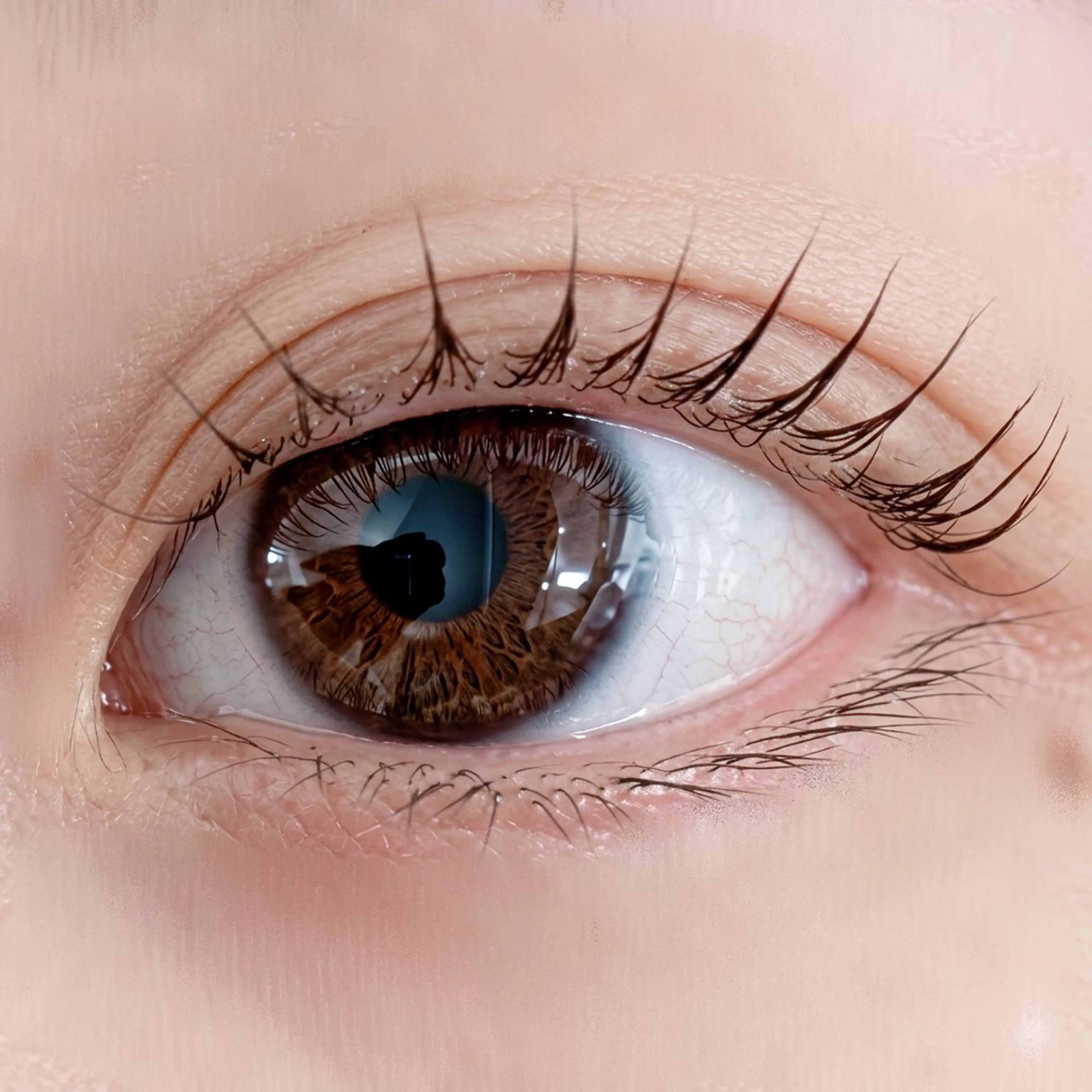 🫧パリジェンヌorまつ毛パーマ🫧の写真