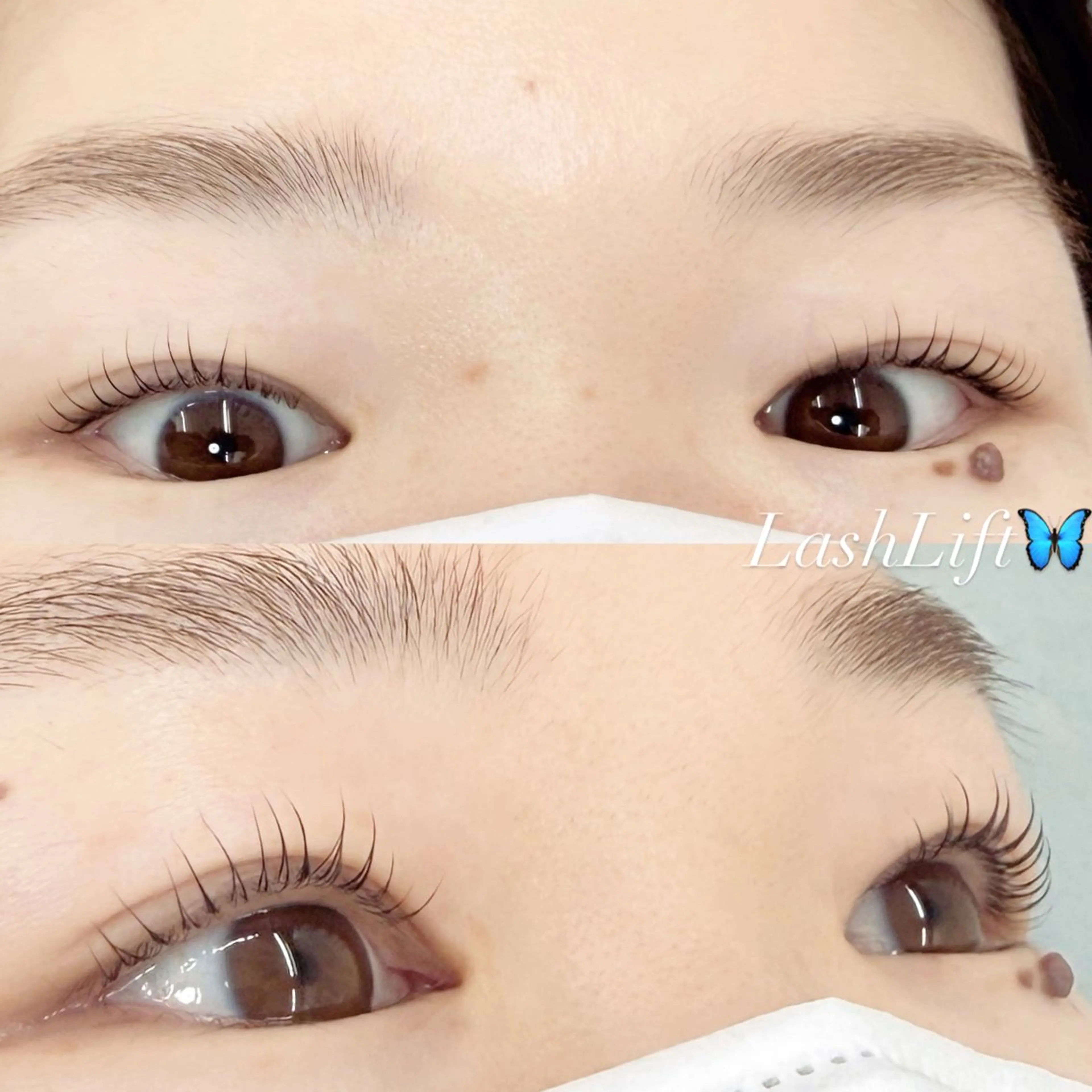 マツエク・マツパ 一重×まつ毛パーマ maisbonita eyelash🦋のマツエク・マツパデザイン