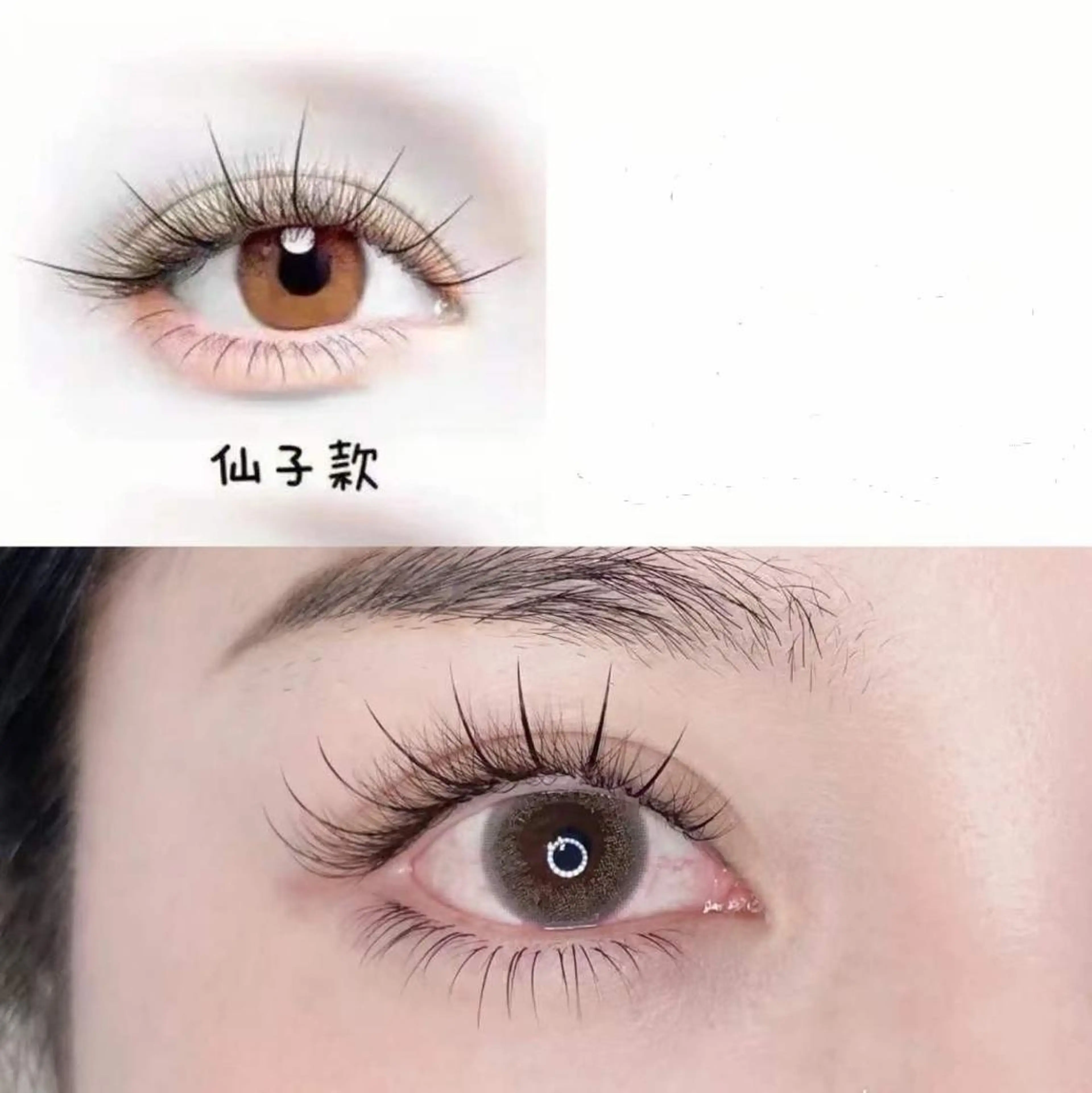 マツエク・マツパ マツエク ナピュレ 西葛西店のマツエク・マツパデザイン