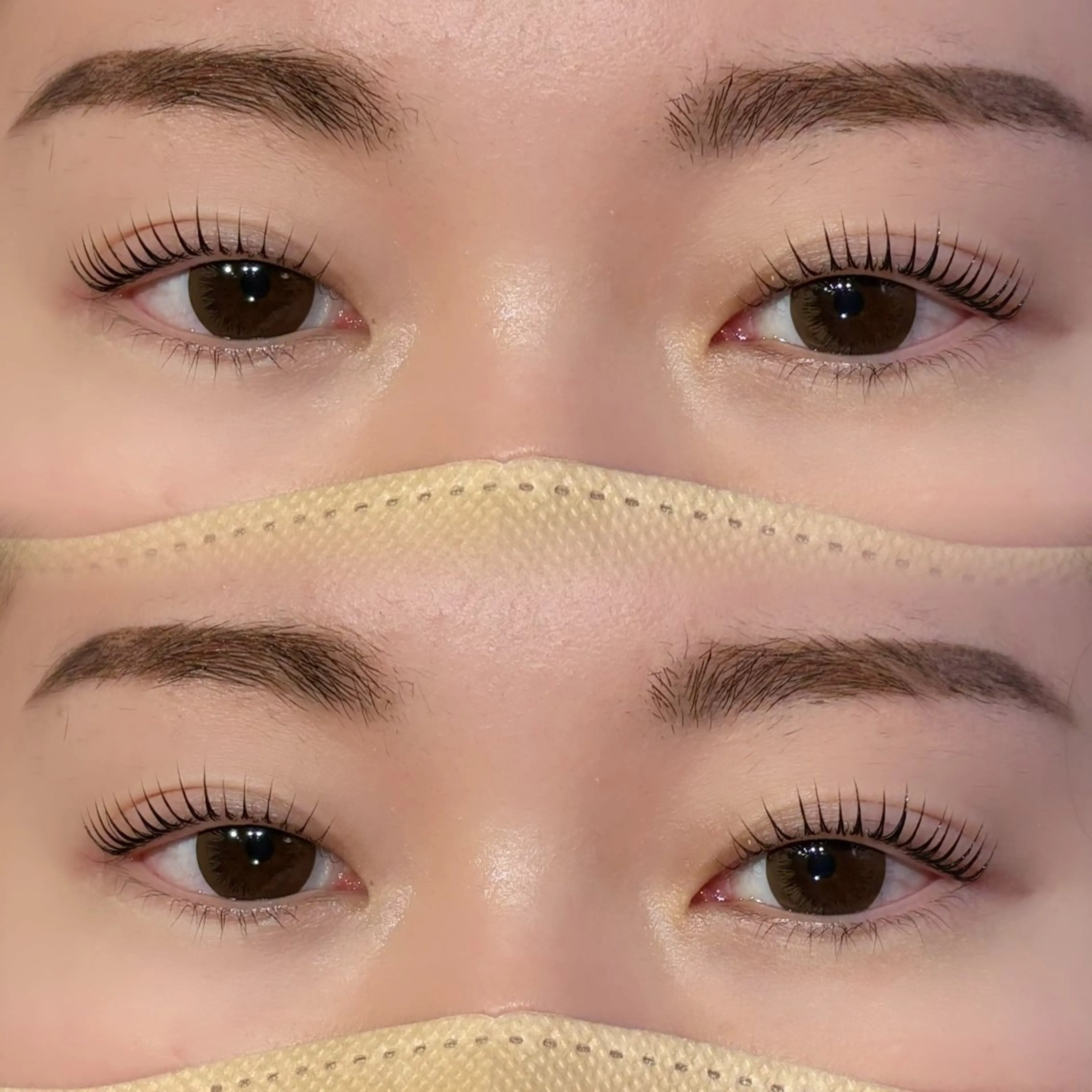 【ご新規様＋当日限定】🌷パリジェンヌラッシュリフト（まつげパーマ）/上のみ🌷の写真