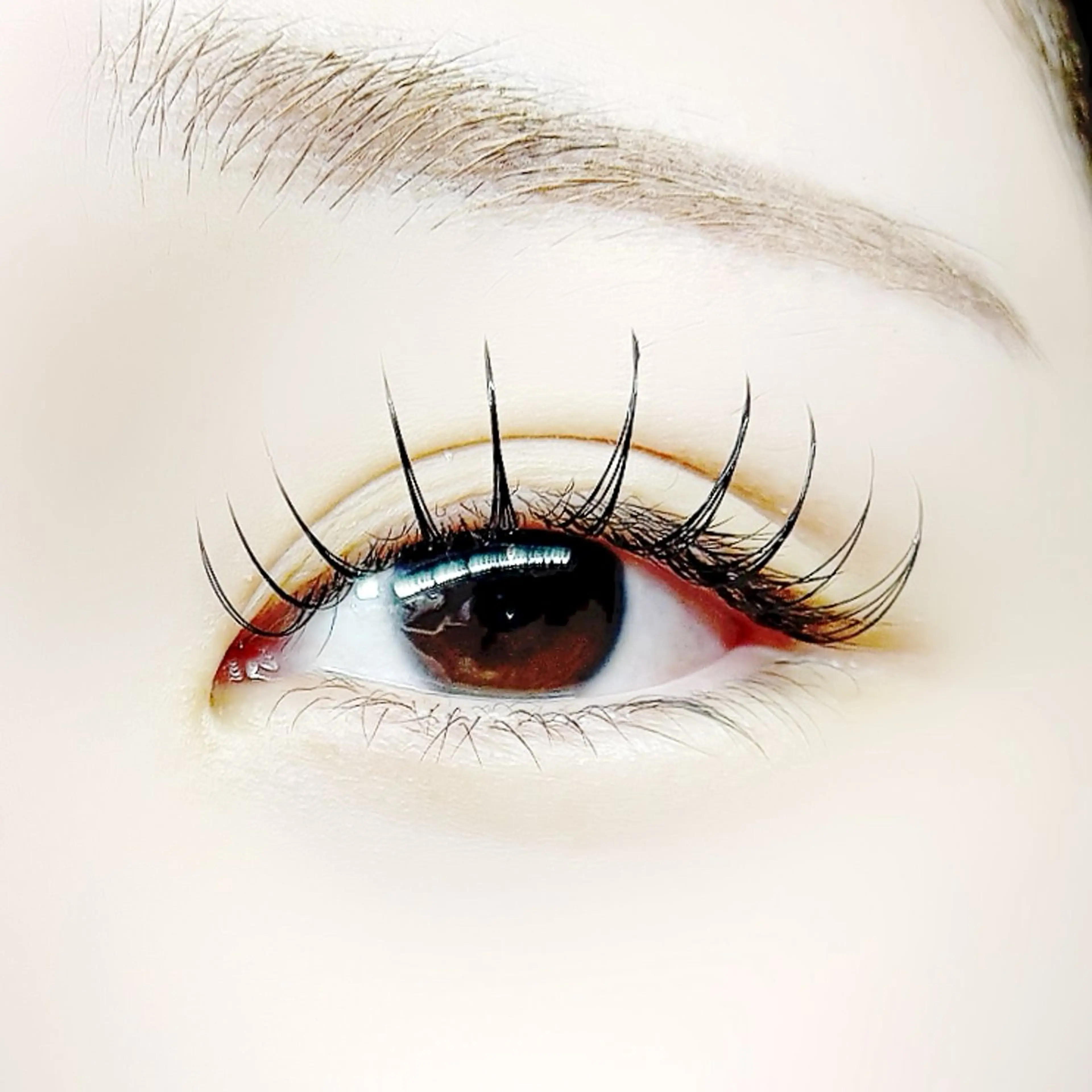 マツエク・マツパ フラットラッシュ WHITE LASH岡山イオン前店所属・WHITE LASH 🤍SAWA🤍の眉毛・アイブロウイメージ