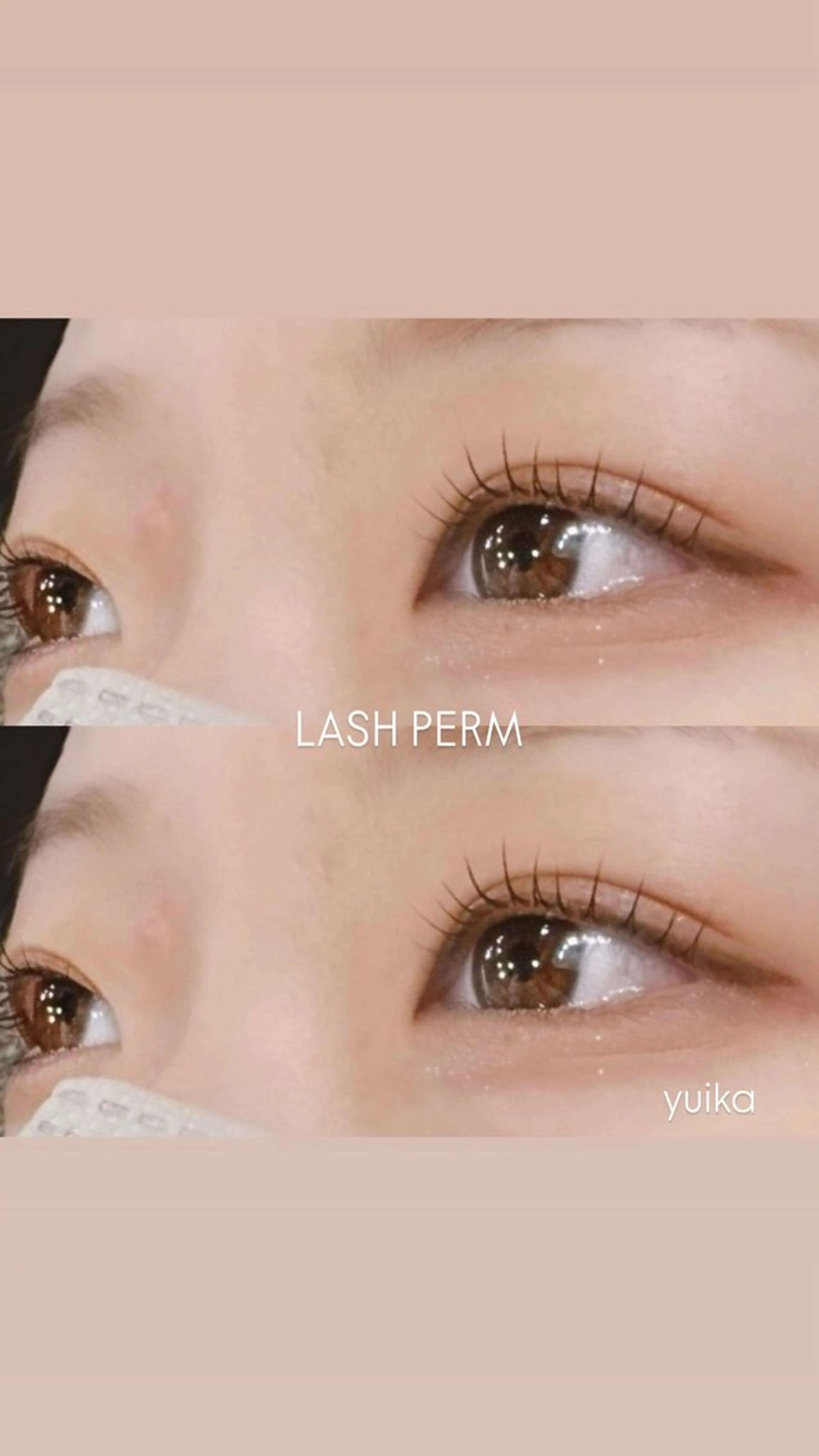 🦋まつげパーマの写真