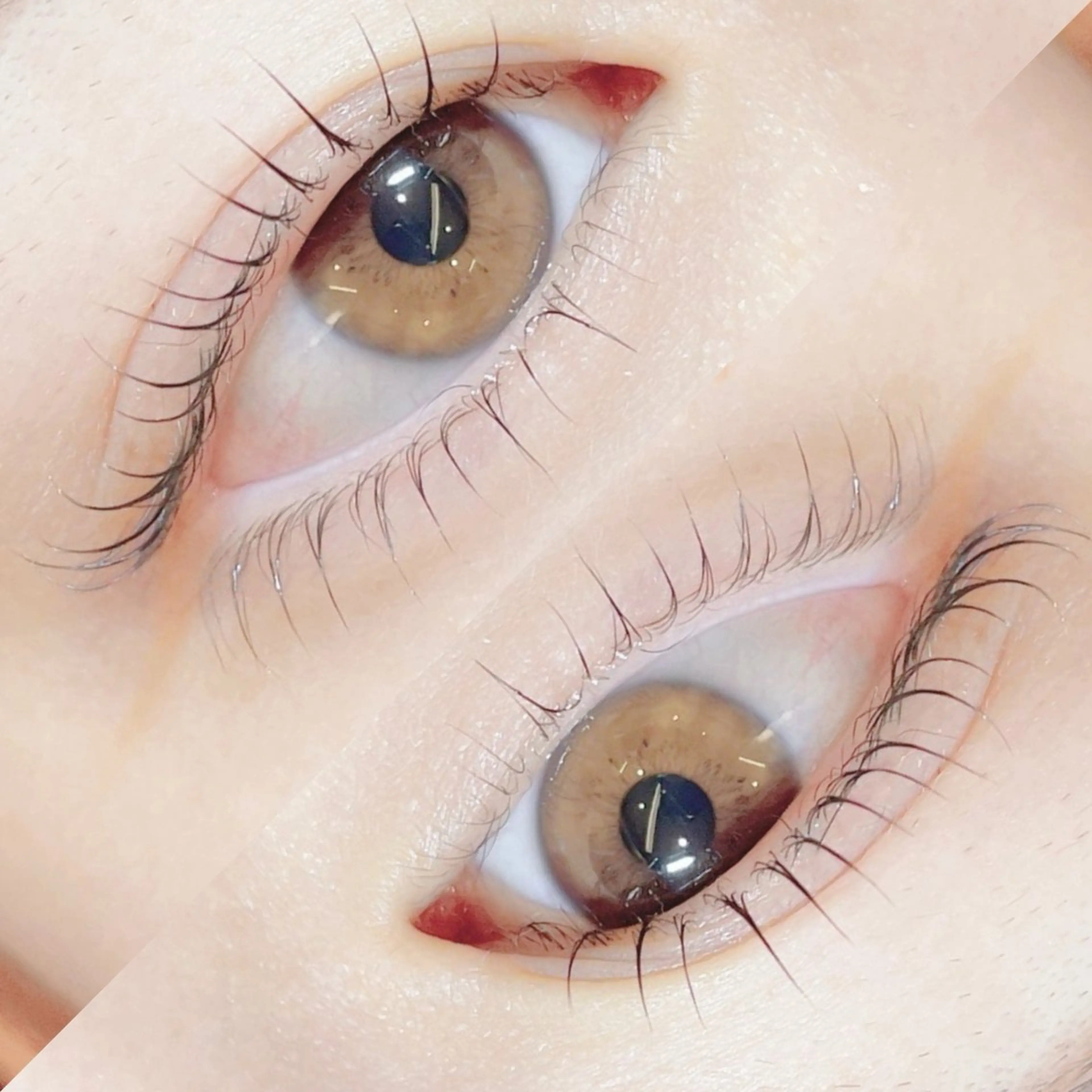 マツエク・マツパ マツパ picola 所沢 橋本のマツエク・マツパデザイン