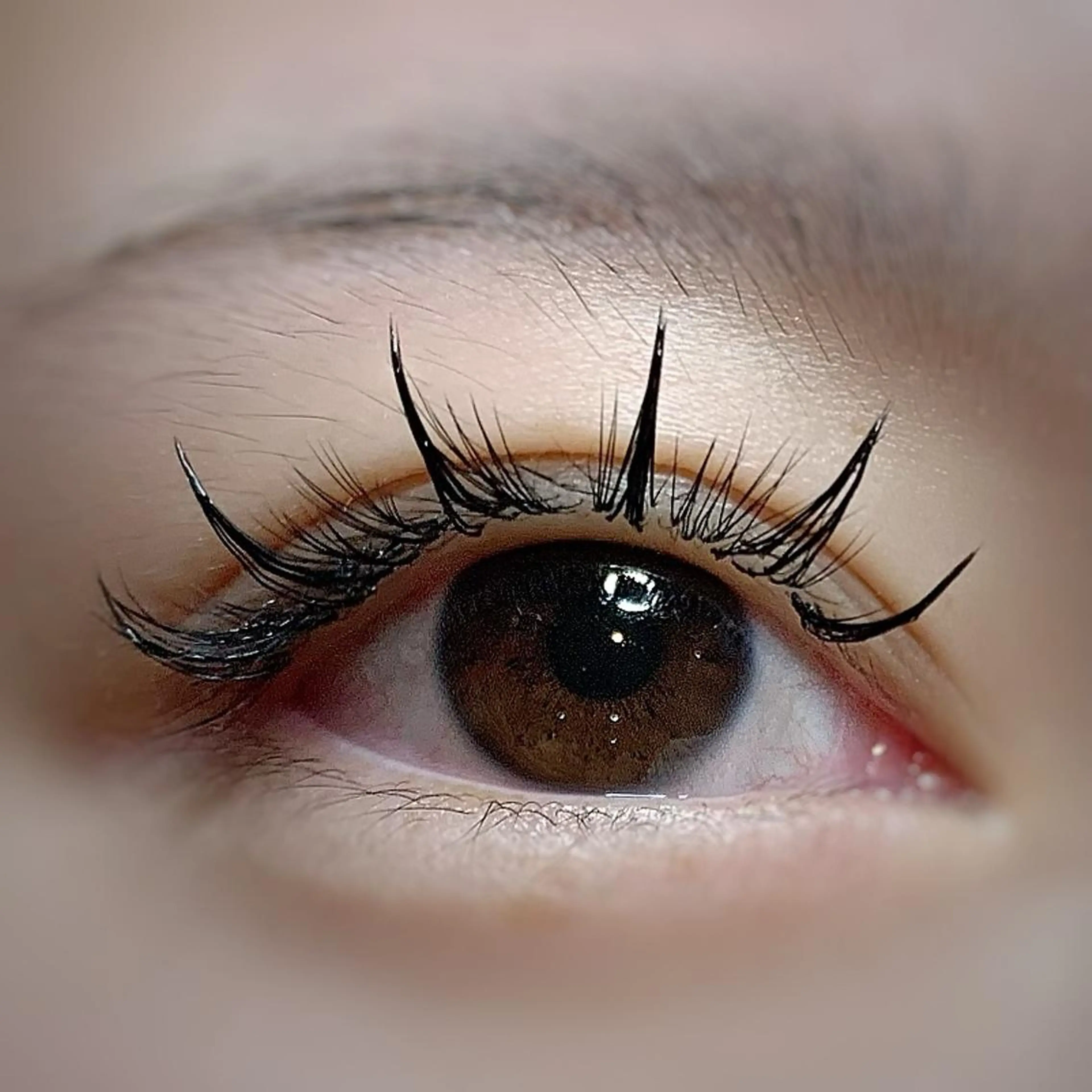 マツエク・マツパ フラットラッシュ ボリュームラッシュ ワンホンマツエク AYLASH石川 韓国風/カラエクのマツエク・マツパデザイン