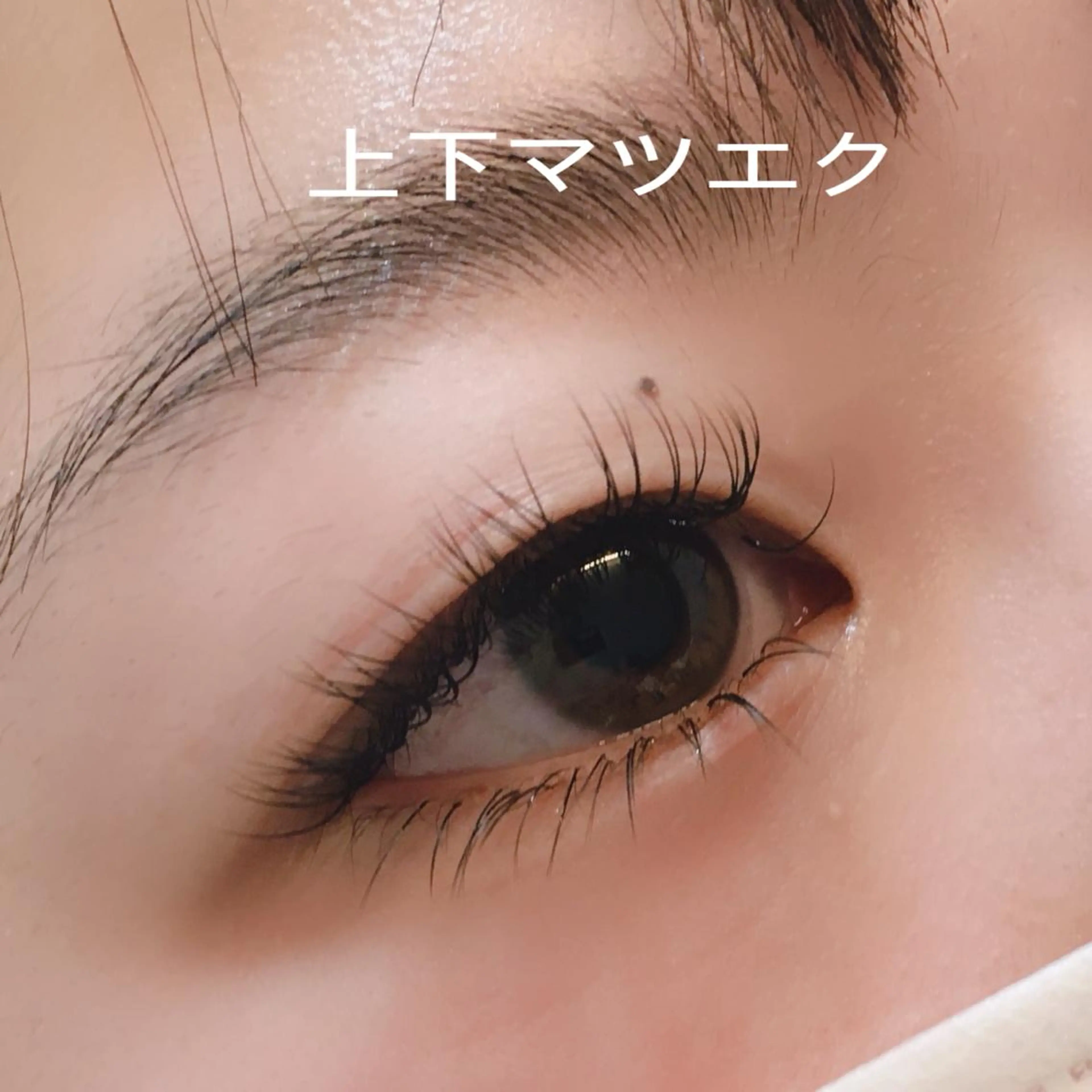 マツエク・マツパ マツエク 秋草 由美子のマツエク・マツパデザイン