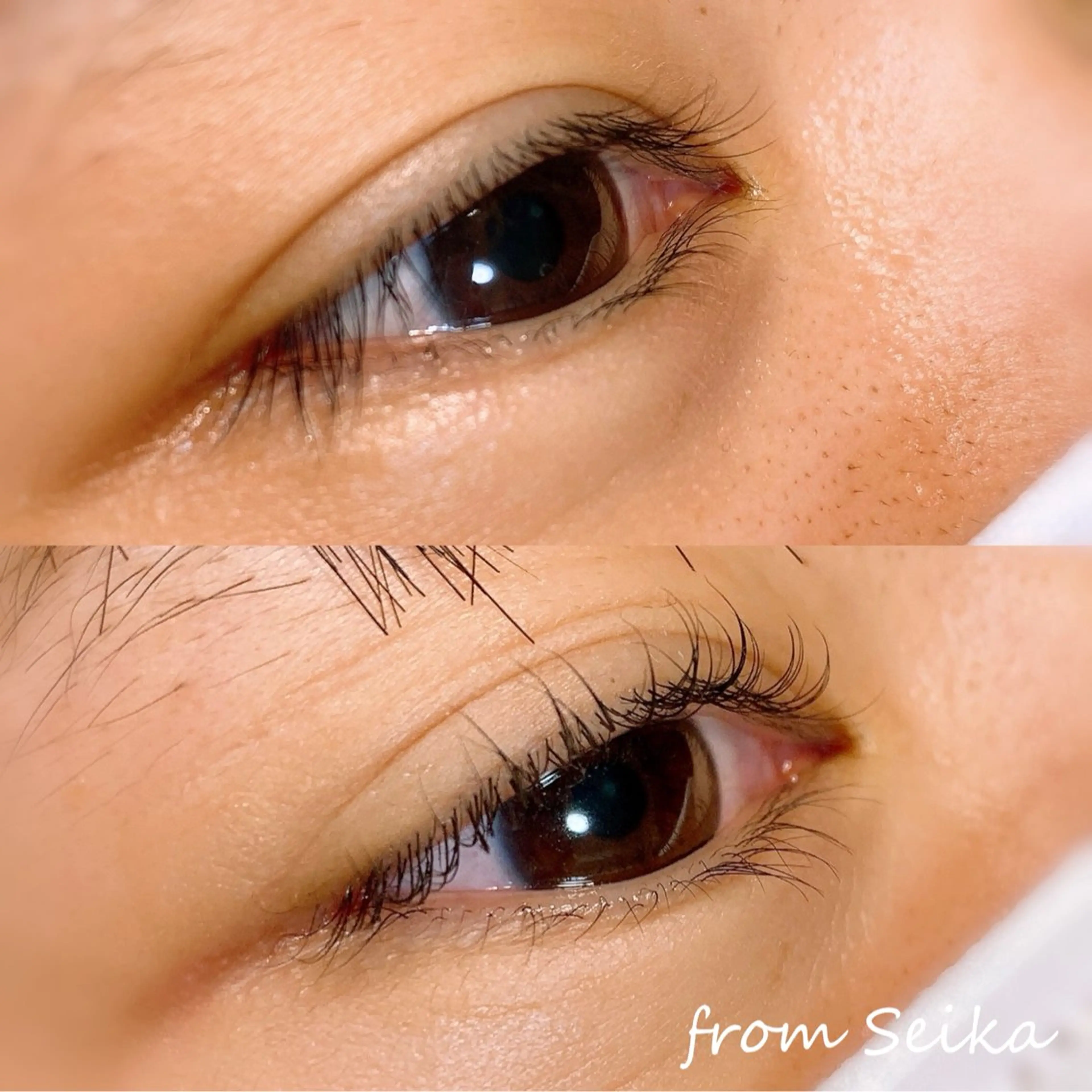 マツエク・マツパ マツパ Tani seikaのマツエク・マツパデザイン