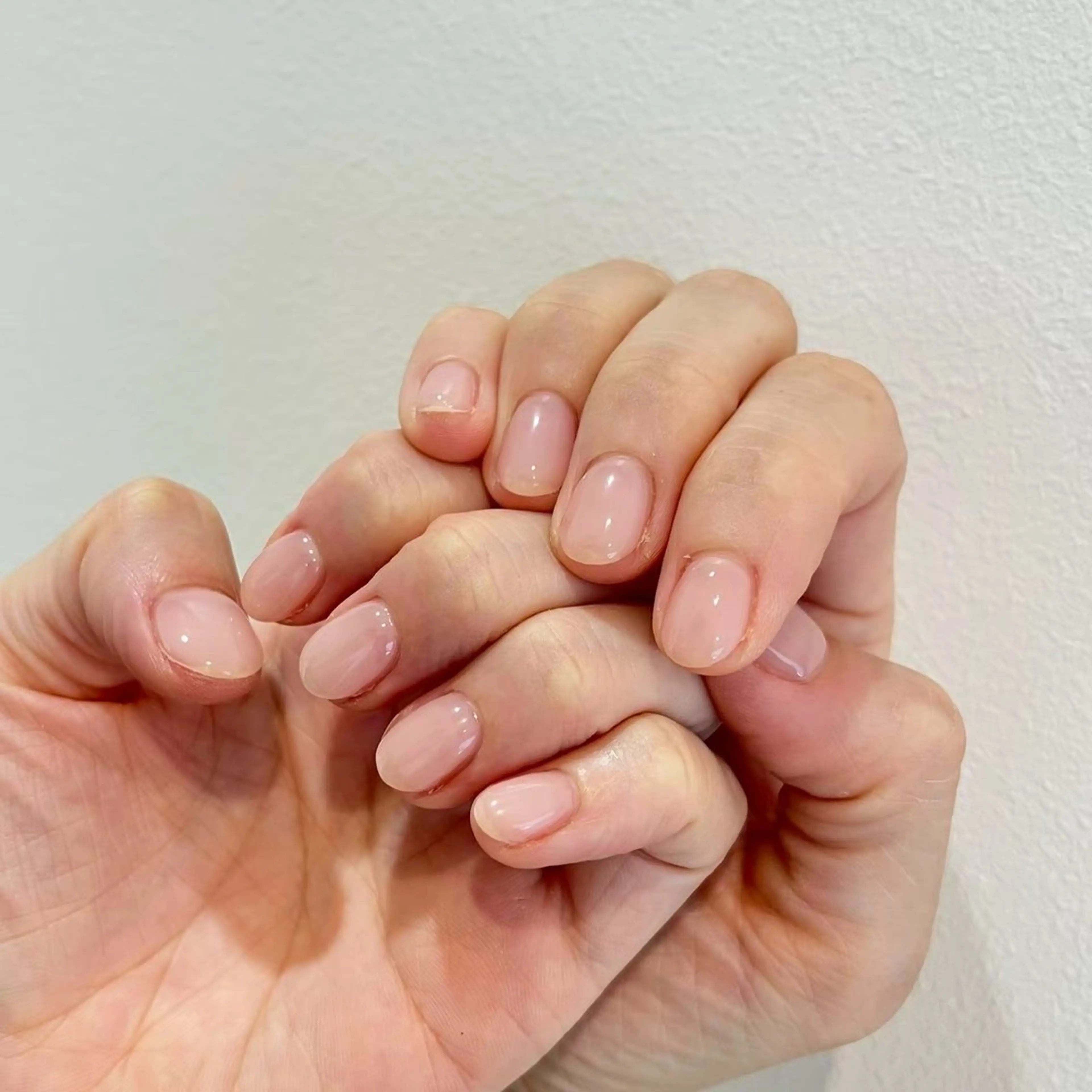 ワンカラー（オフなし）の写真