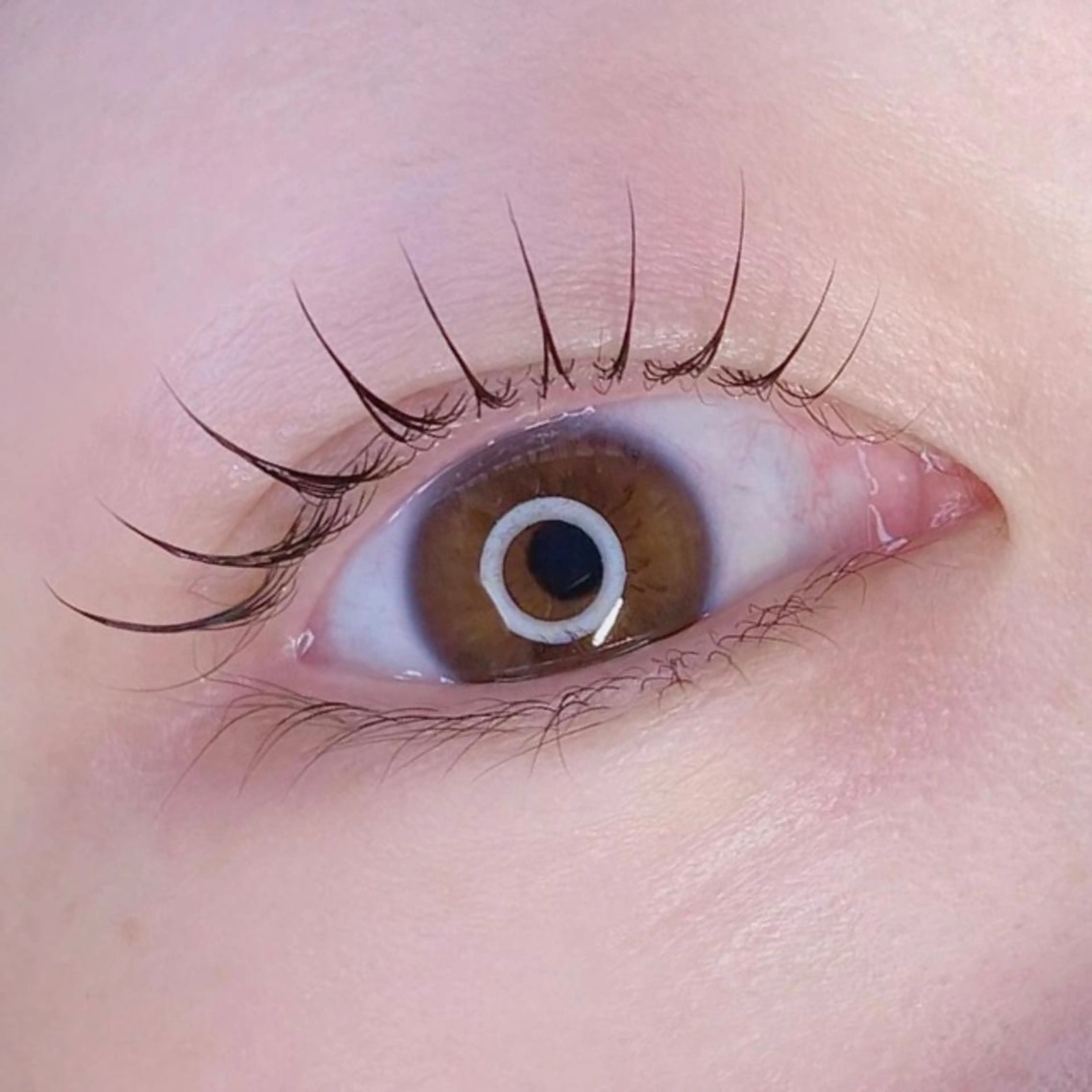 マツエク・マツパ マツパ Nancy所属・束感まつげ❤︎ あみのマツエク・マツパデザイン