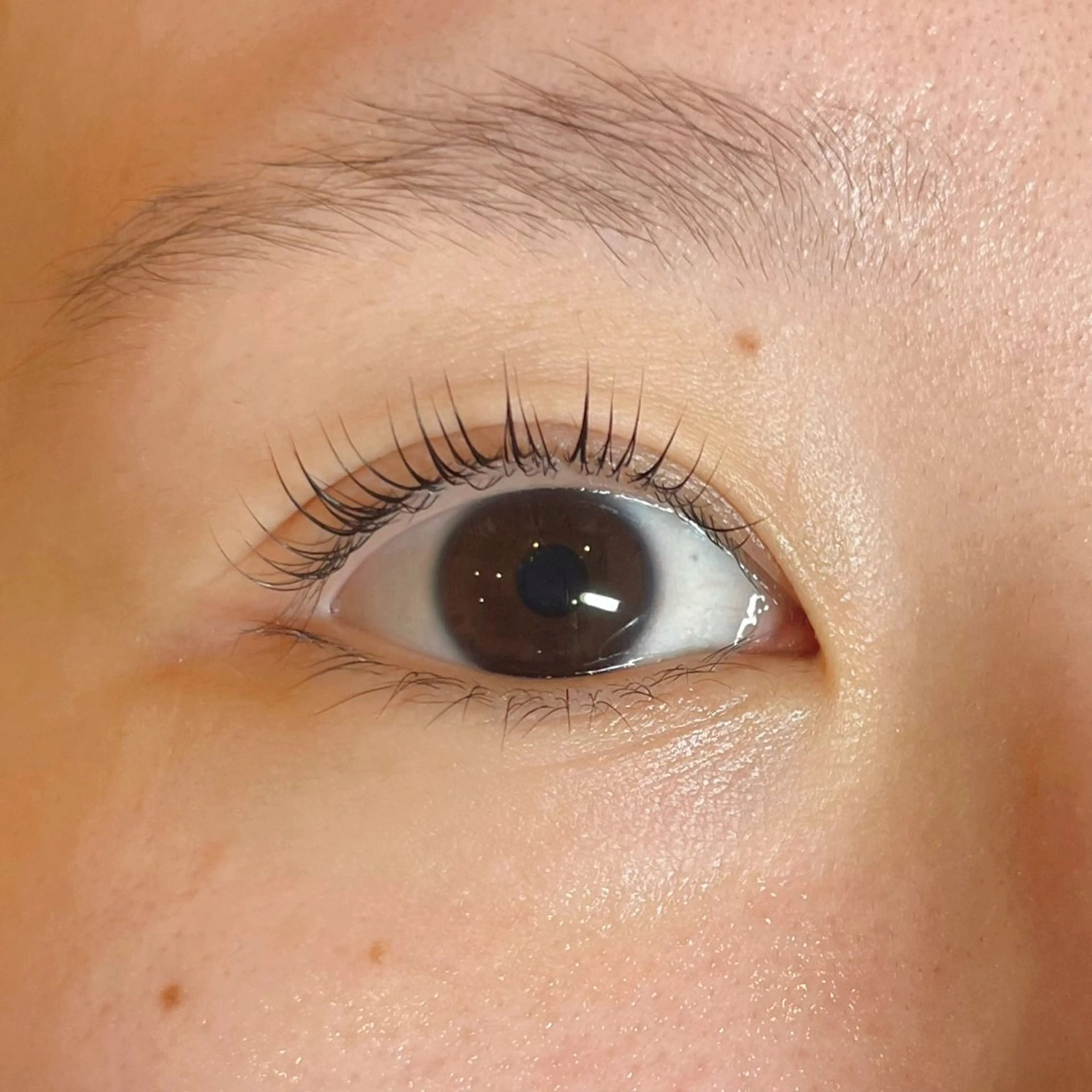 マツエク・マツパ ナチュラル 一重×まつ毛パーマ Arona所属・Arona / mizukiのマツエク・マツパデザイン