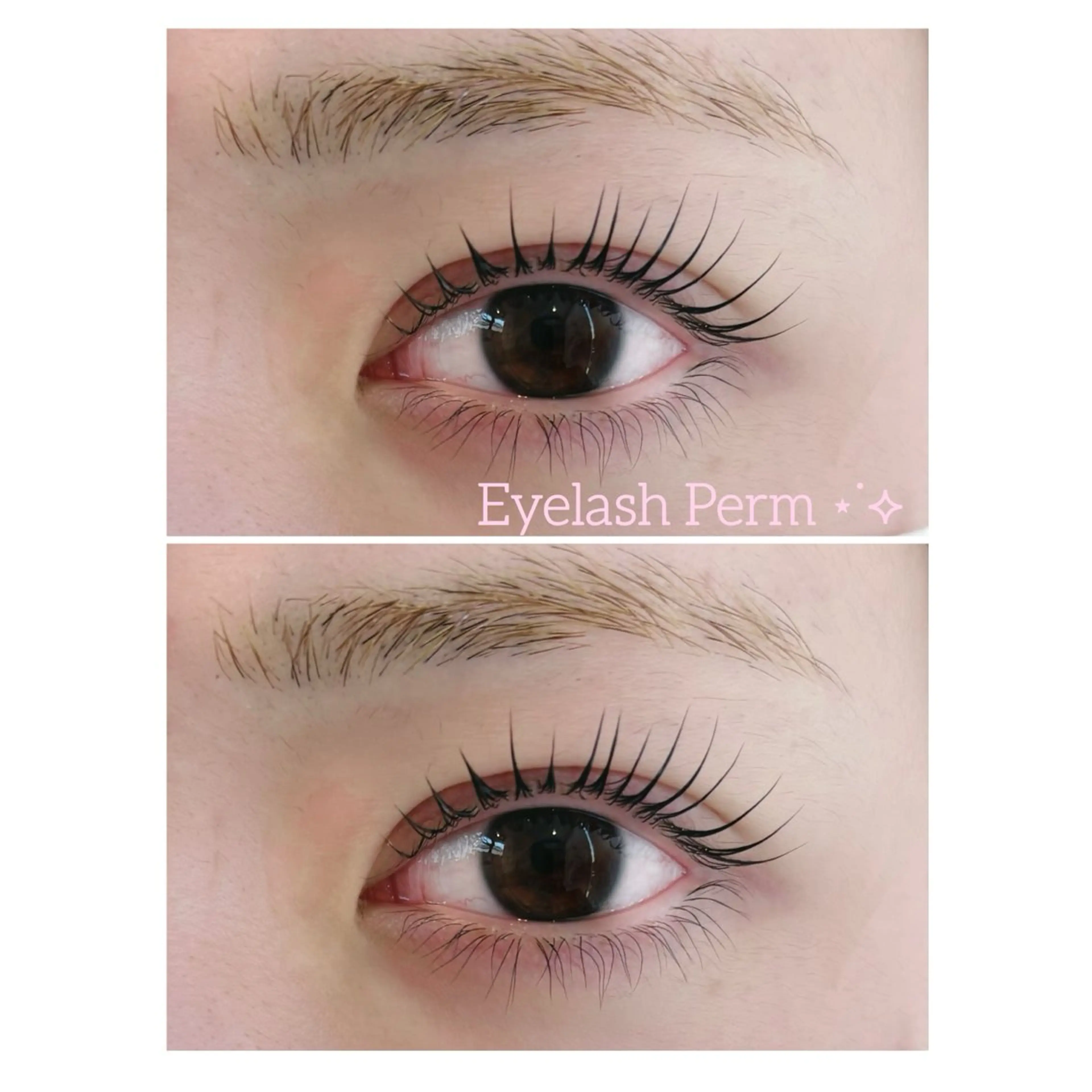〖期間限定価格〗🫧まつげパーマ上下🫧アイシャンプー＋ケラチン美容液付きの写真