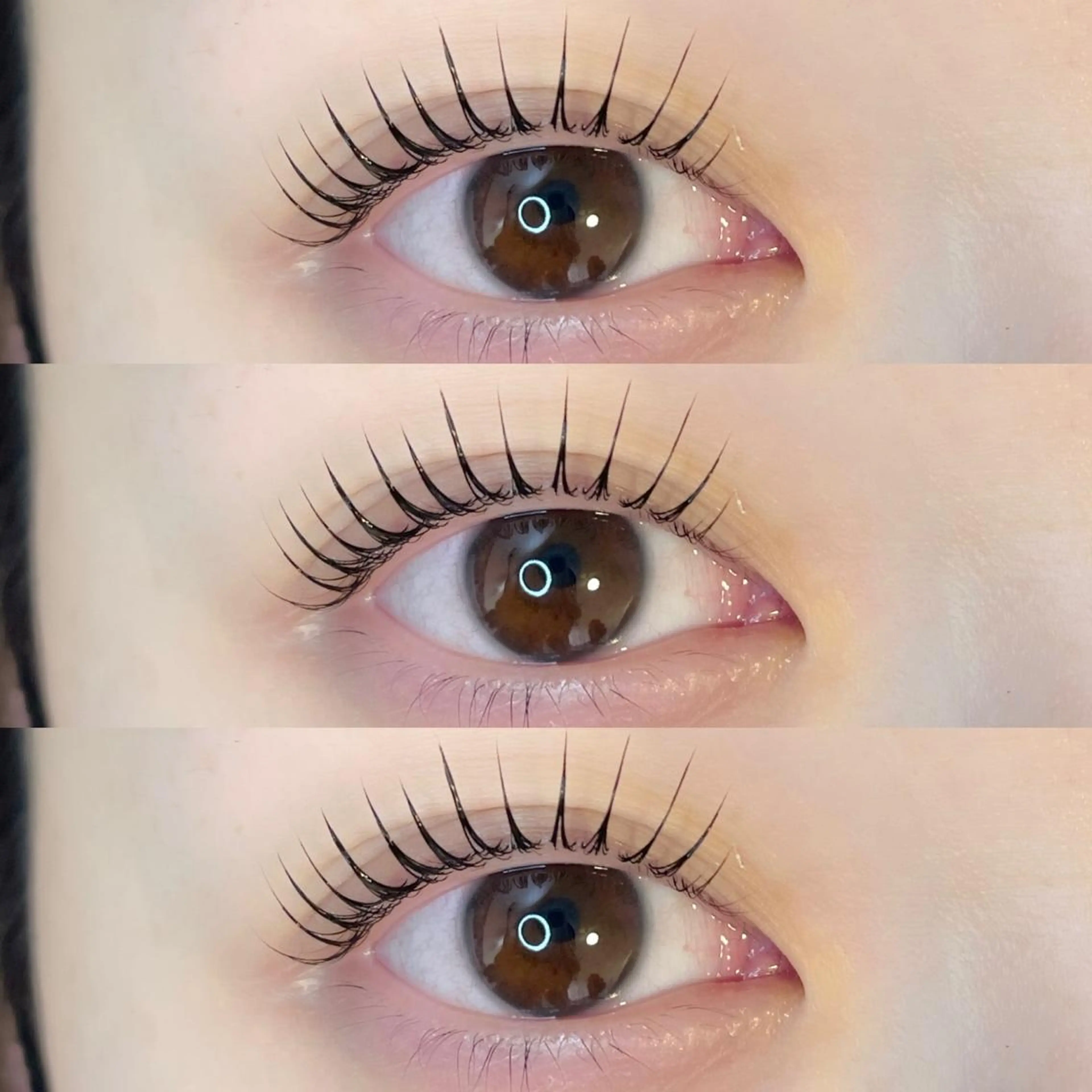 マツエク・マツパ パリジェンヌラッシュリフト マツパ 1月31日退社 深澤もものマツエク・マツパデザイン