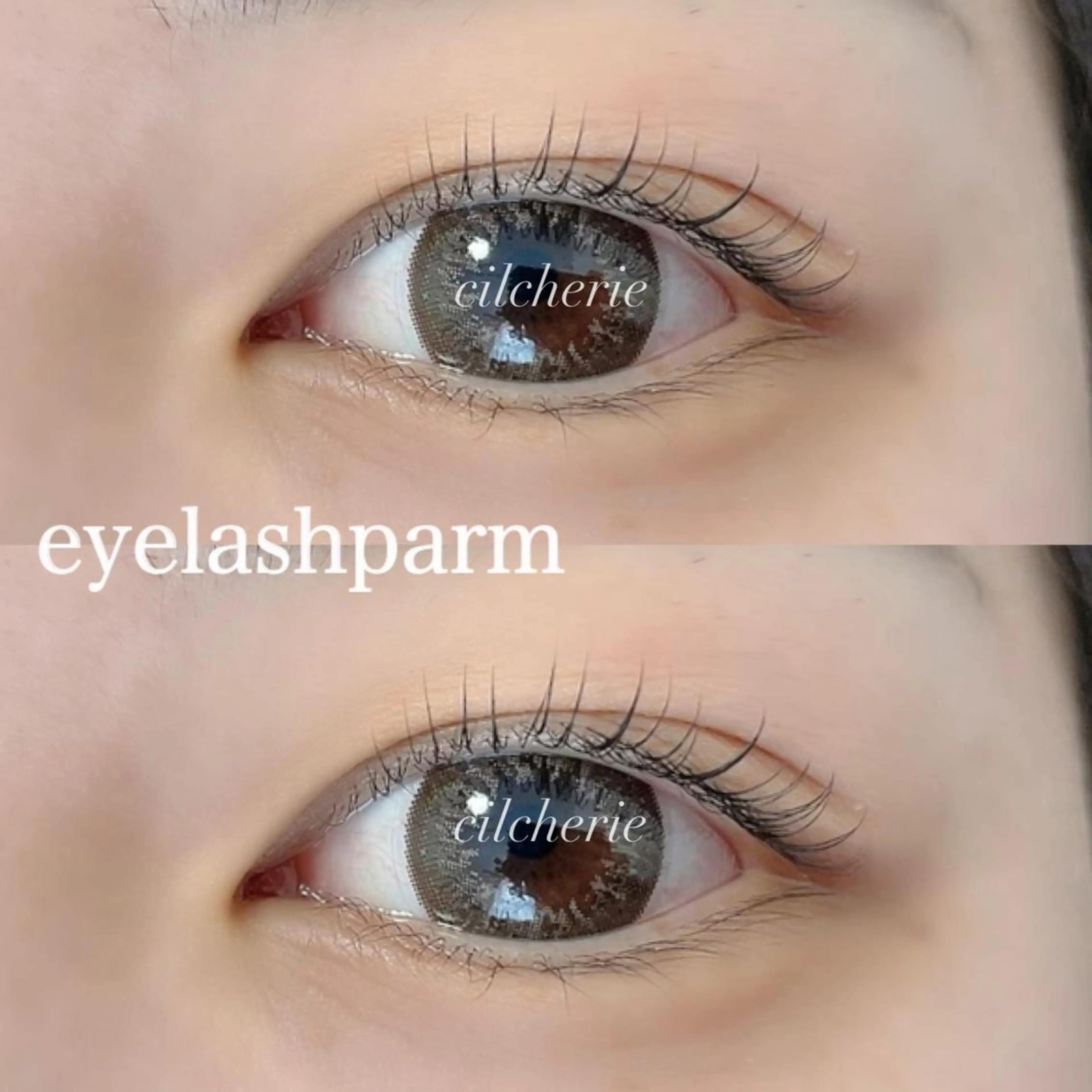 マツエク・マツパ マツパ cilcherie (シルシェリー)のマツエク・マツパデザイン