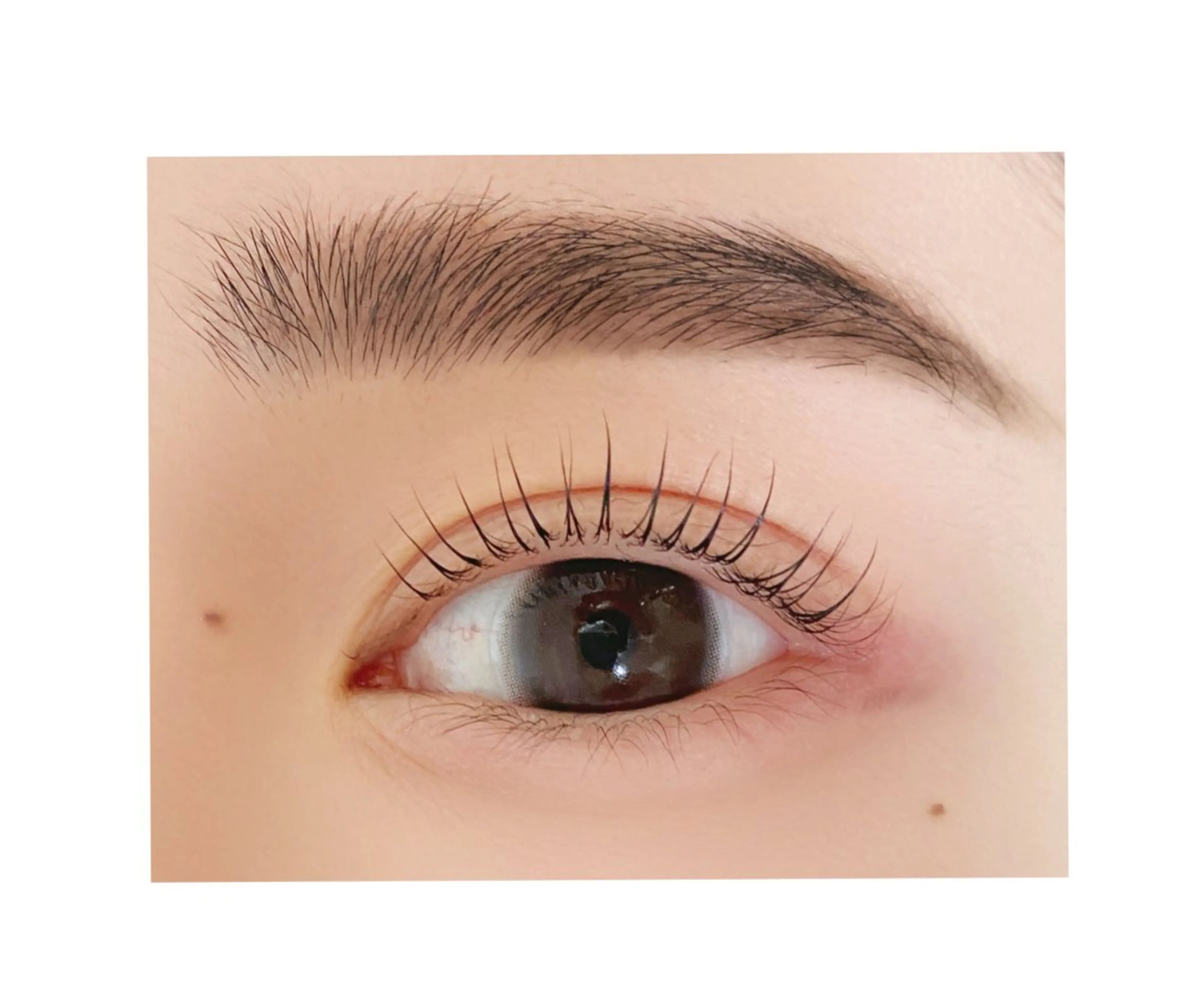 マツエク・マツパ パリジェンヌラッシュリフト plume eyelashのネイルデザイン