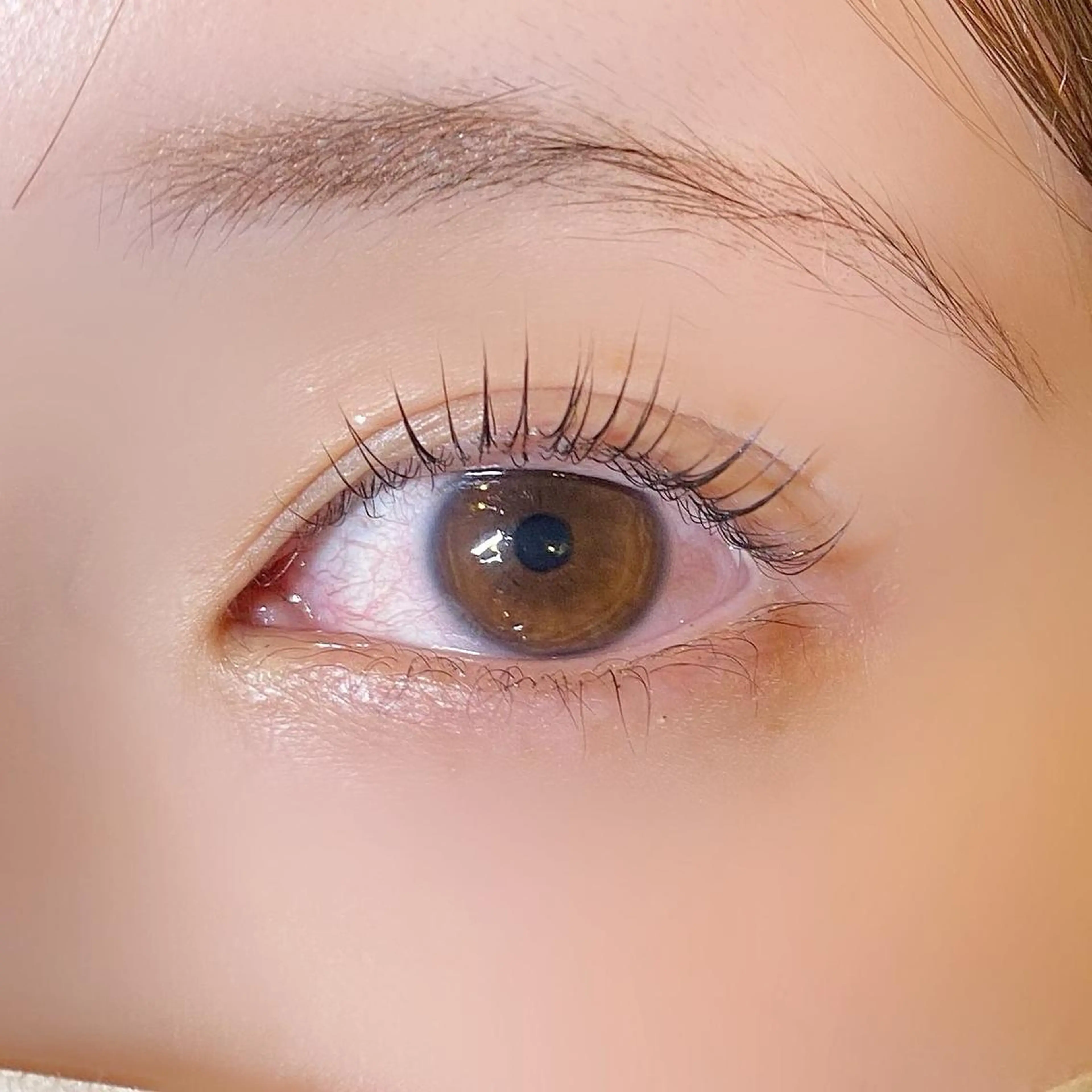 マツエク・マツパ Lカール 一重×まつ毛パーマ 🪽yoshino miku 🩵のマツエク・マツパデザイン