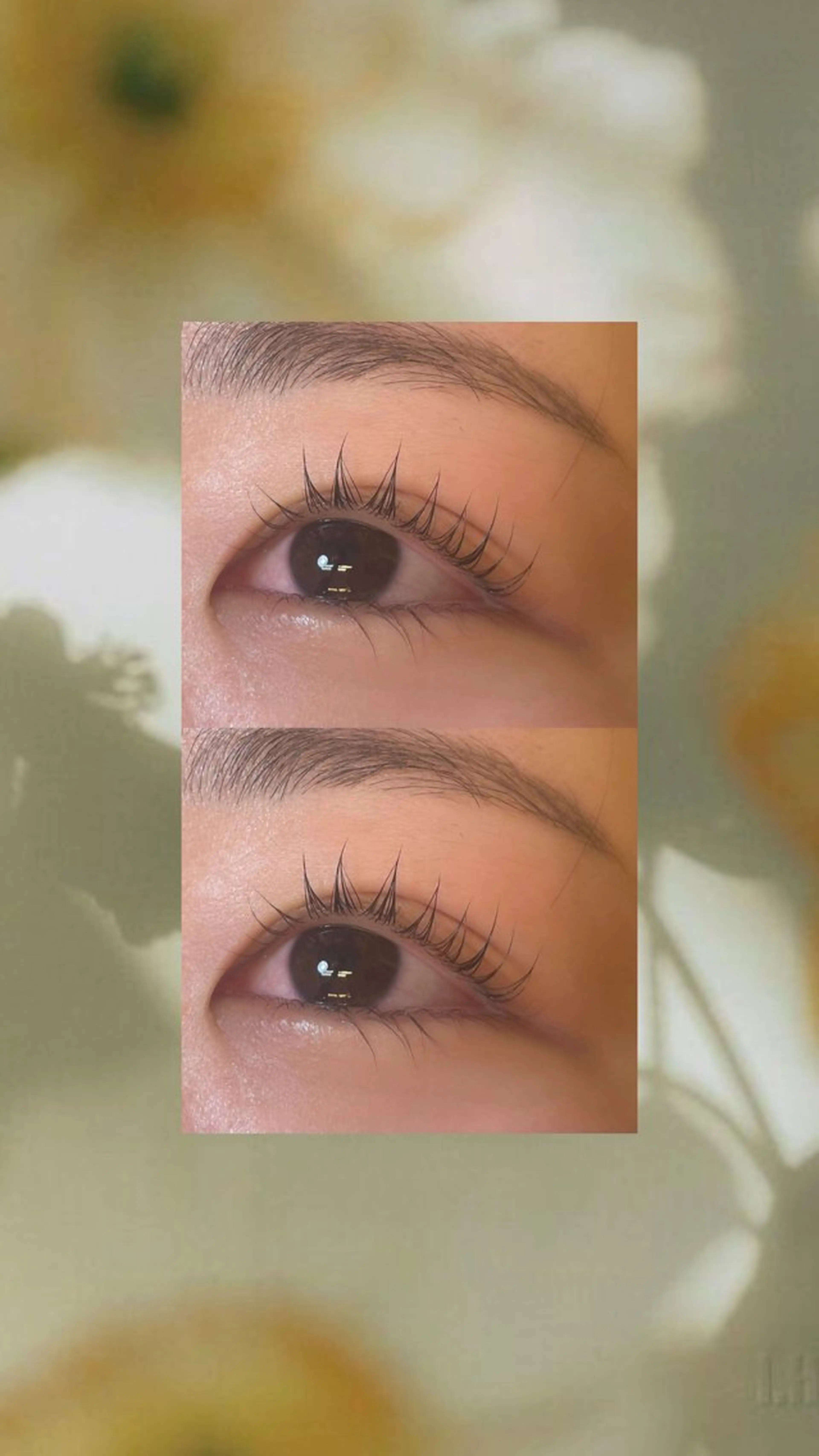 マツエク・マツパ パリジェンヌラッシュリフト ena所属・ena_ hiyoriのマツエク・マツパデザイン