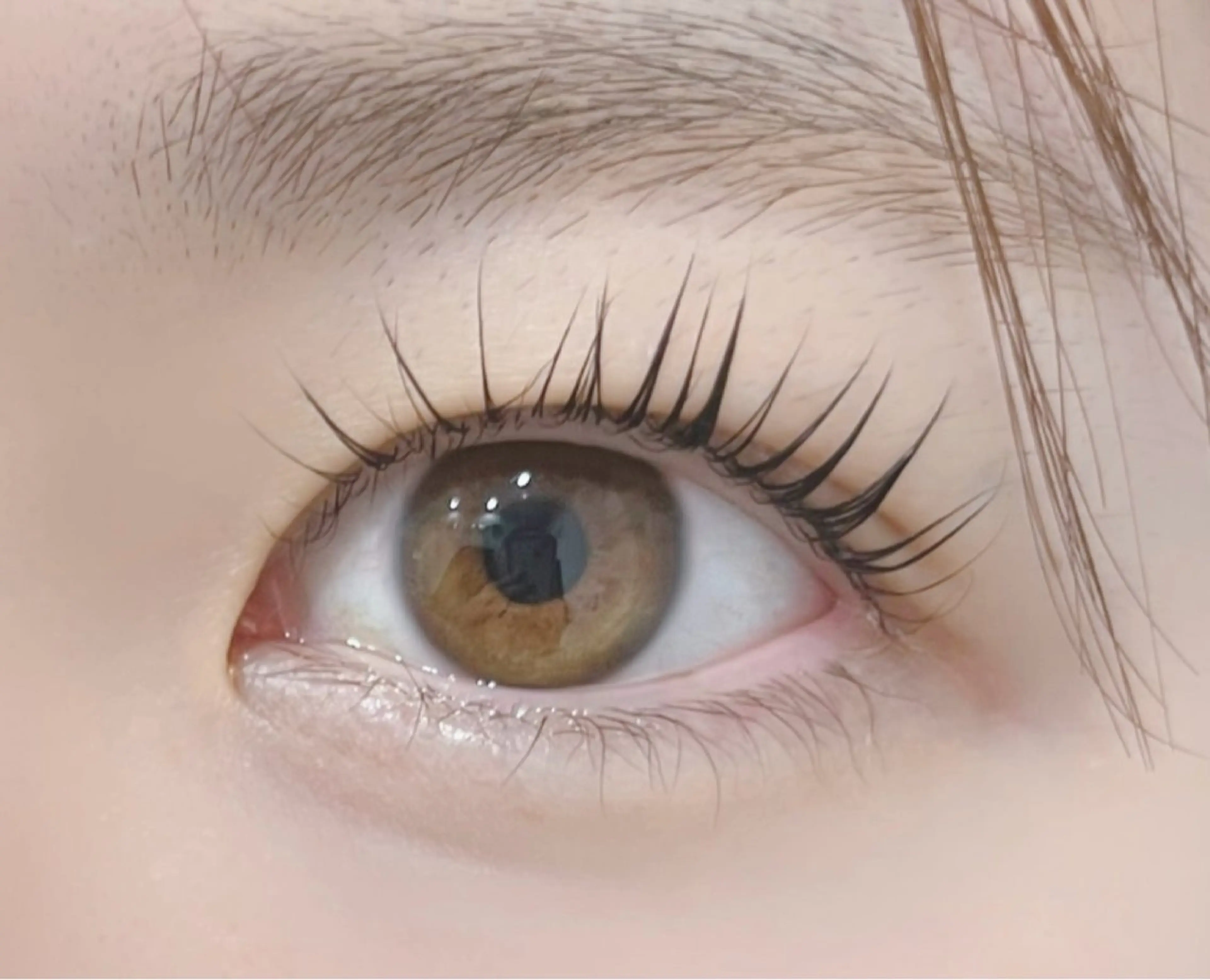 マツエク・マツパ マツパ IIJIMA /まつパ/パリ/束感のマツエク・マツパデザイン