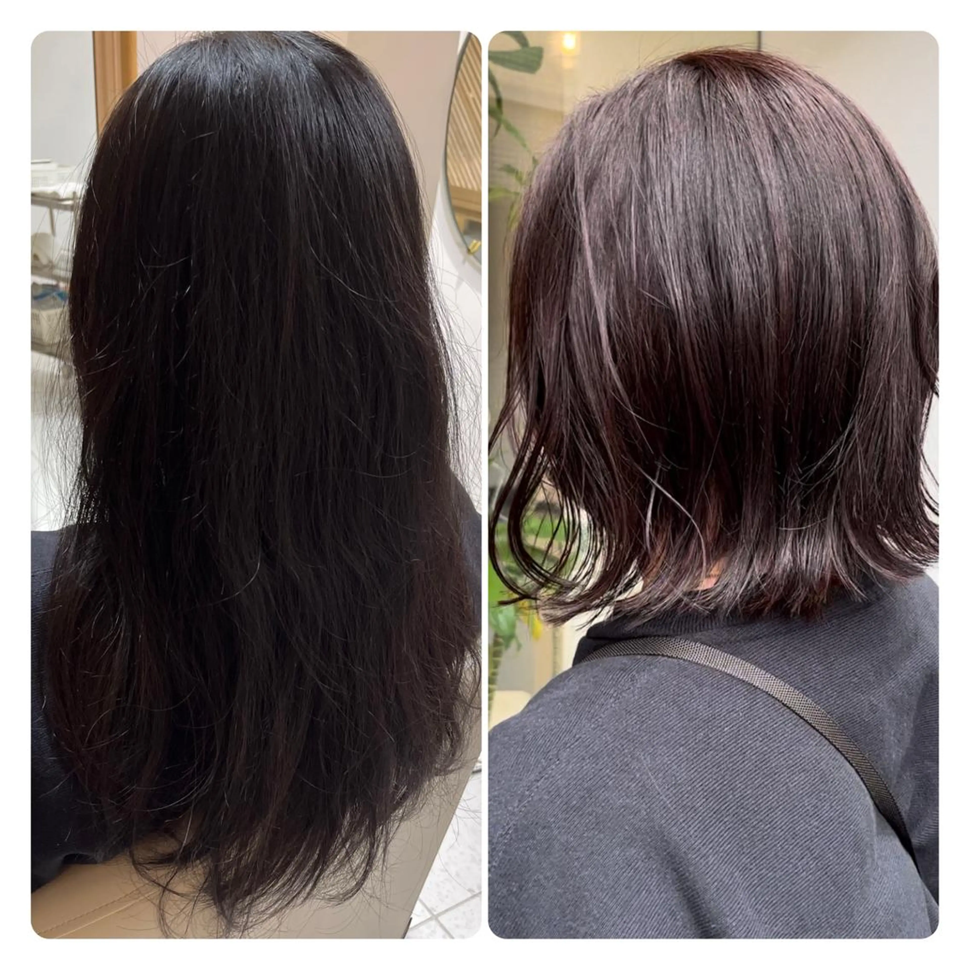 【平日限定のお得なメニュー🌸】似合わせカット＋カラーの写真