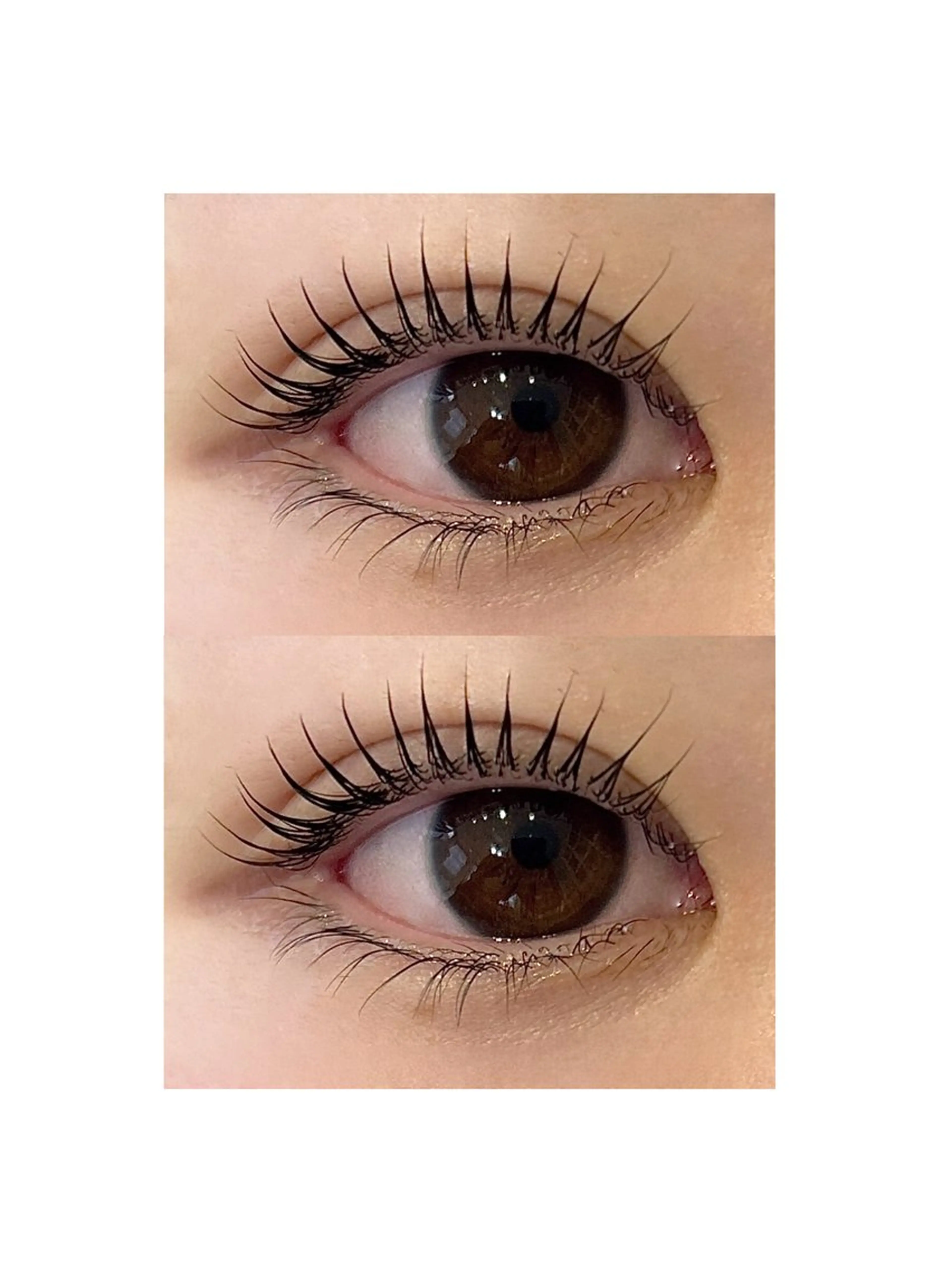 【🍉夏季限定】【新規】韓国風マスカラパーマ(うる艶ブラックティント)¥6,780の写真