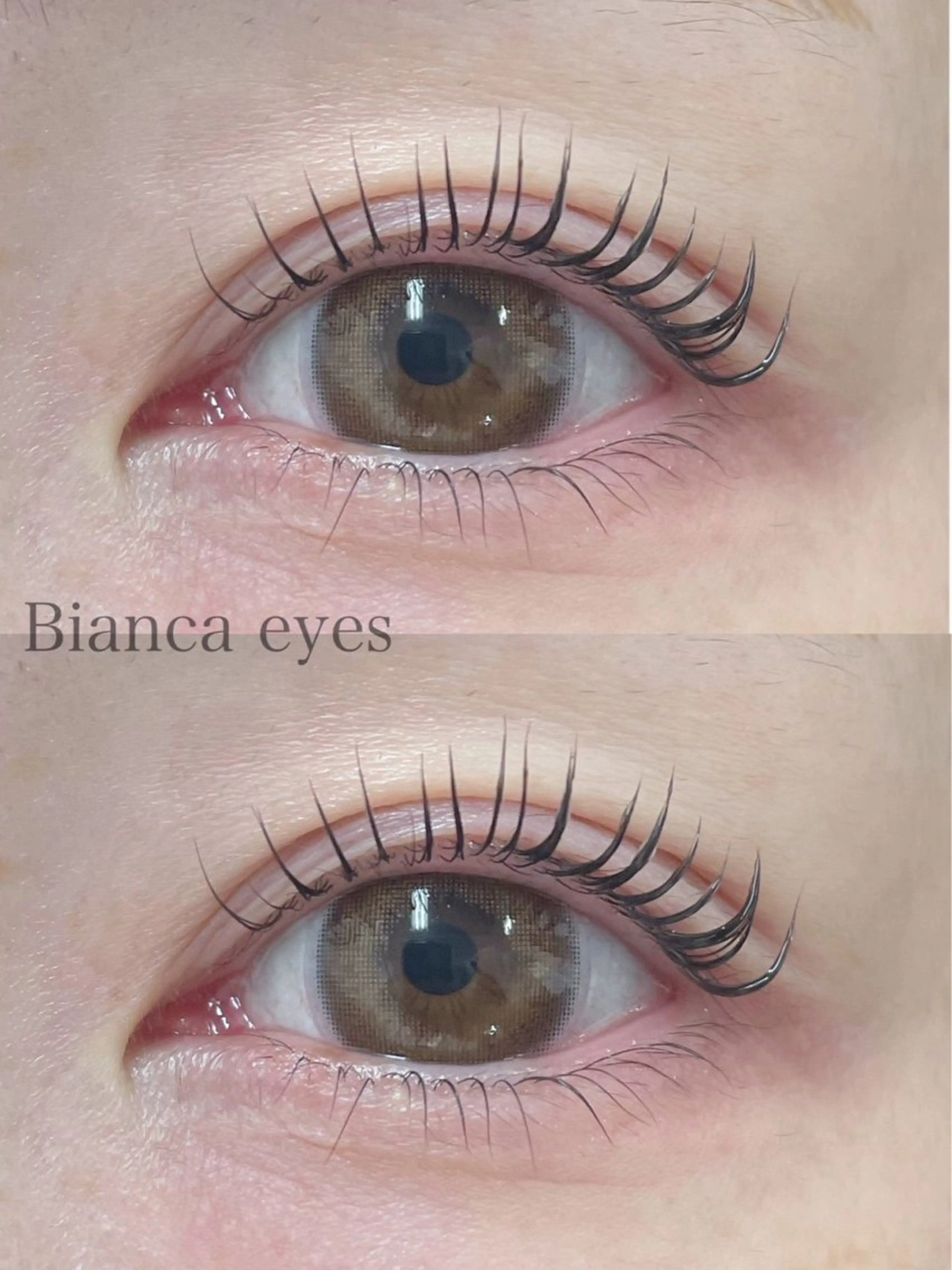 【minimo限定♡】まつ毛パーマ上下¥5000🤍束感コーティング仕上げ🪄の写真