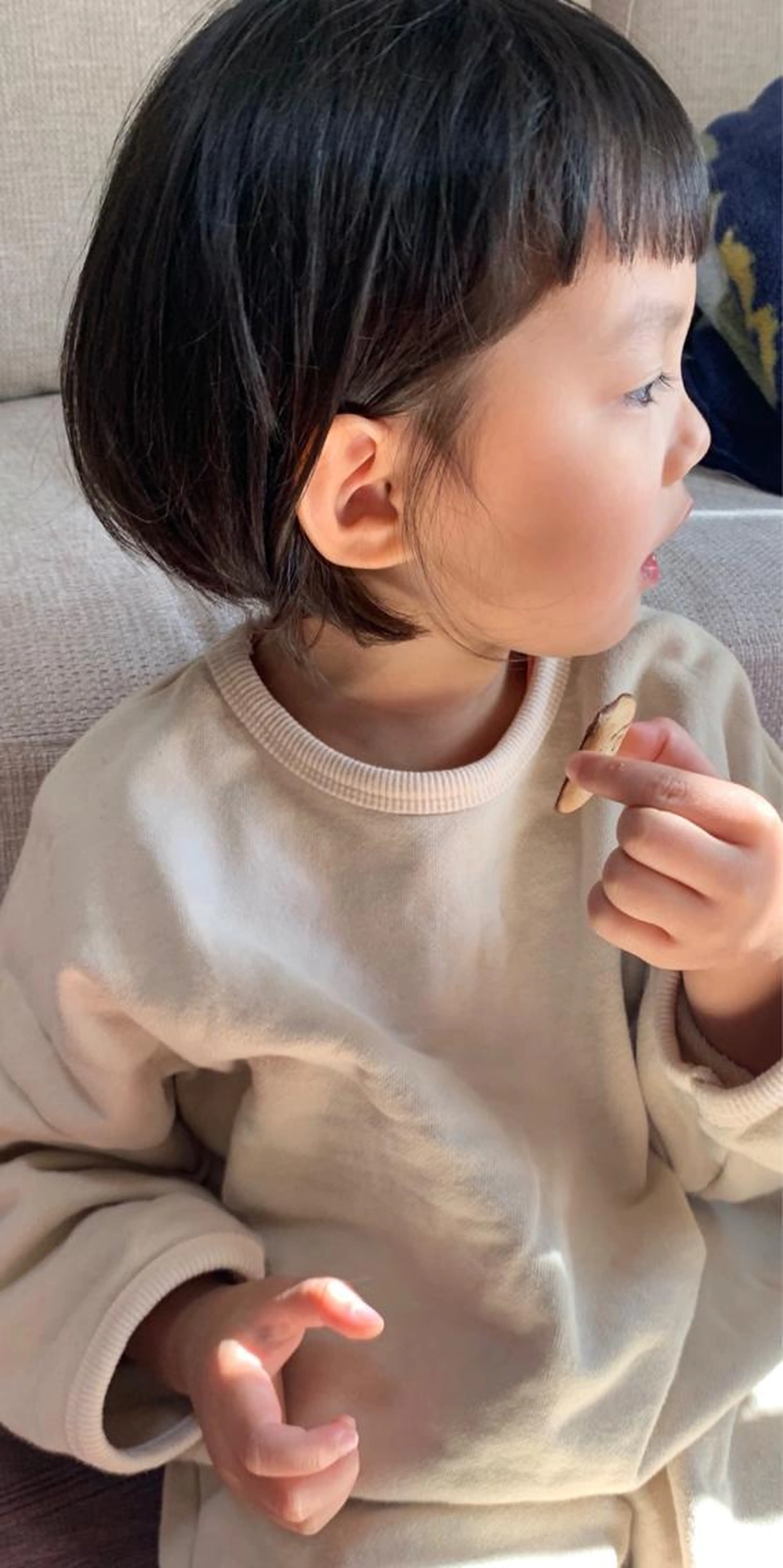 お子様カット✂️(小学生まで)の写真