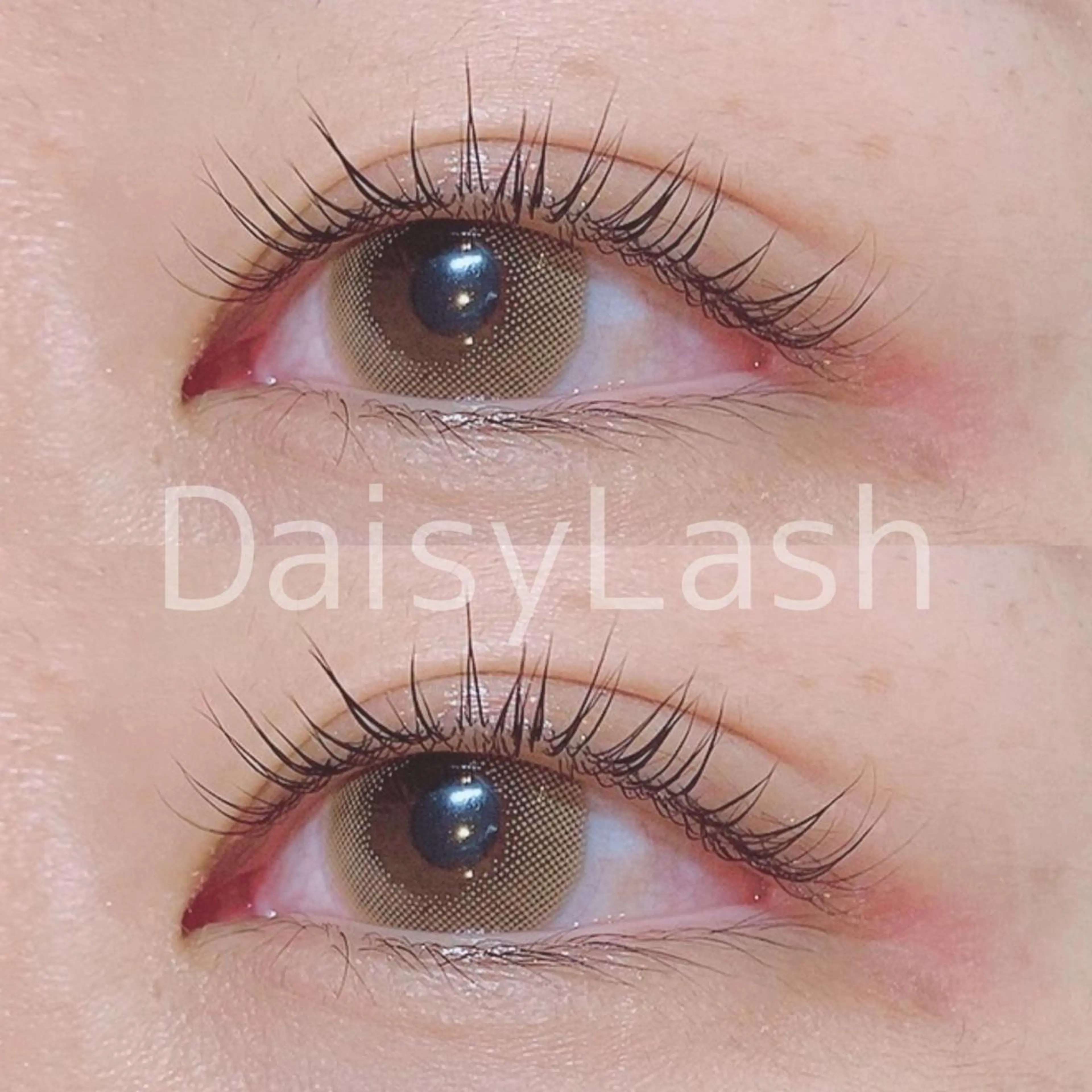 マツエク・マツパ DaisyLash 京橋店のマツエク・マツパデザイン