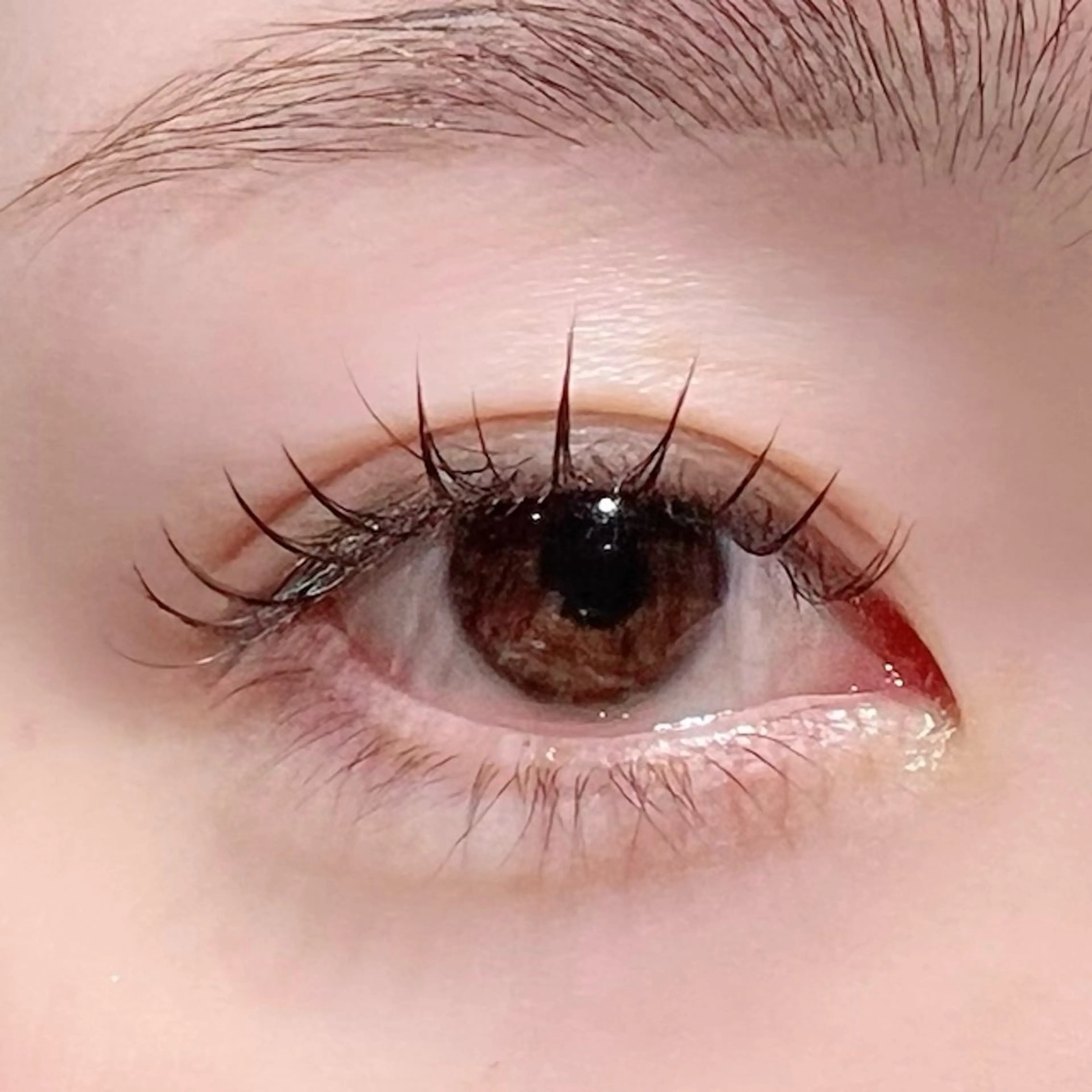 マツエク・マツパ マツエク 自信が持てるお目元に 🪽✨moemiのマツエク・マツパデザイン