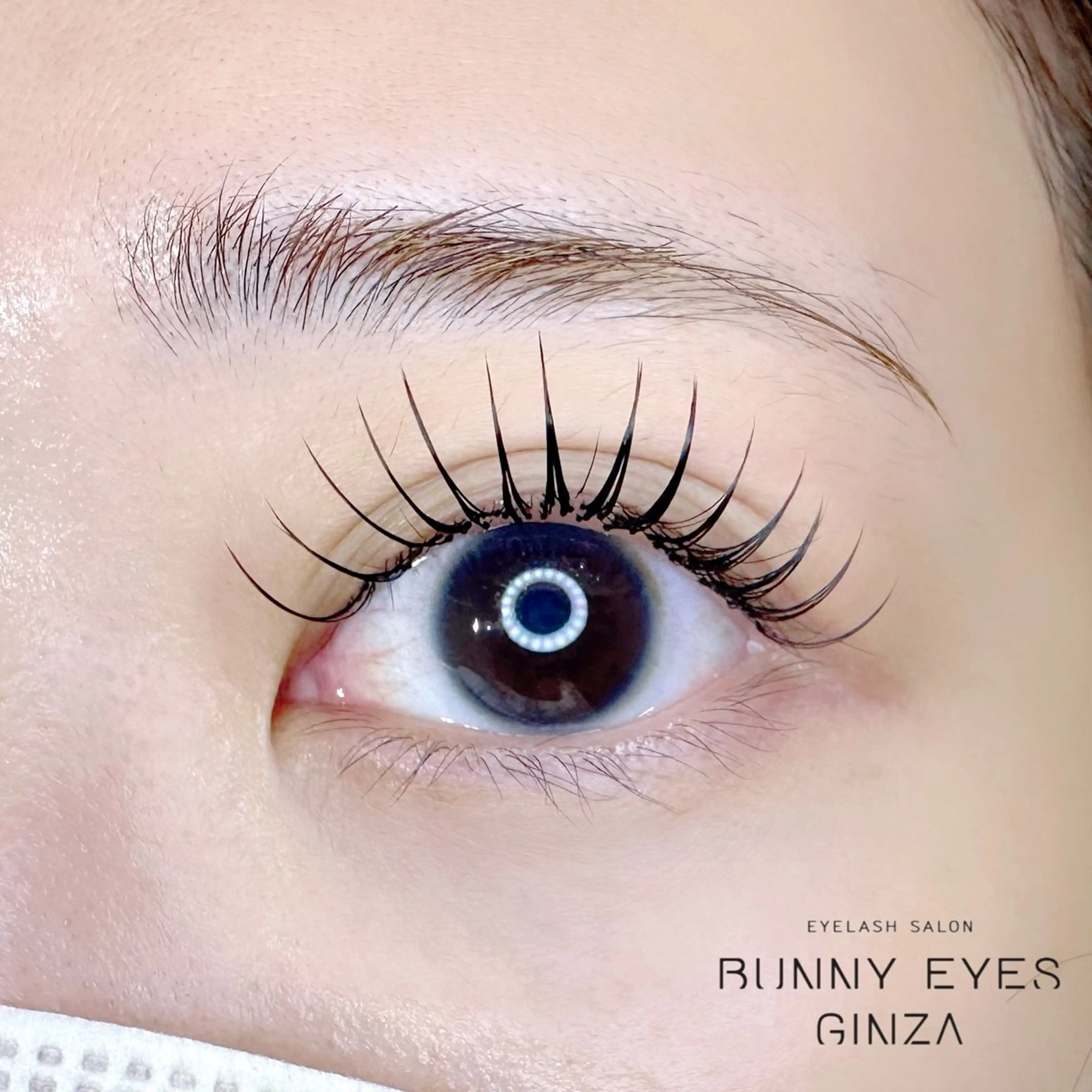 2月限定⭐️バインドロック80束orフラットラッシュ120本【LED込み】【指名料込み】の写真