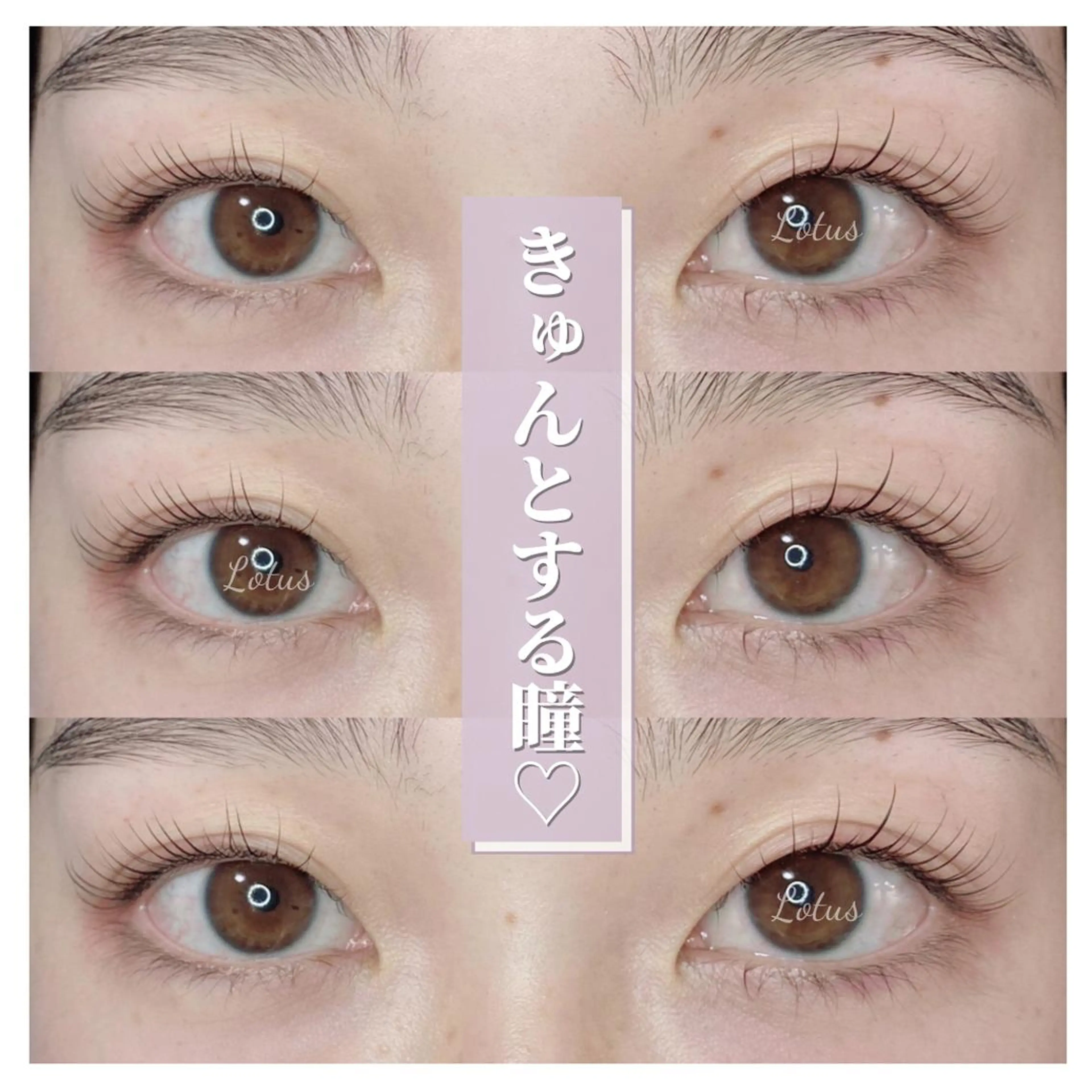 マツエク・マツパ マツパ Lotus所属・Lotus ロータスのマツエク・マツパデザイン