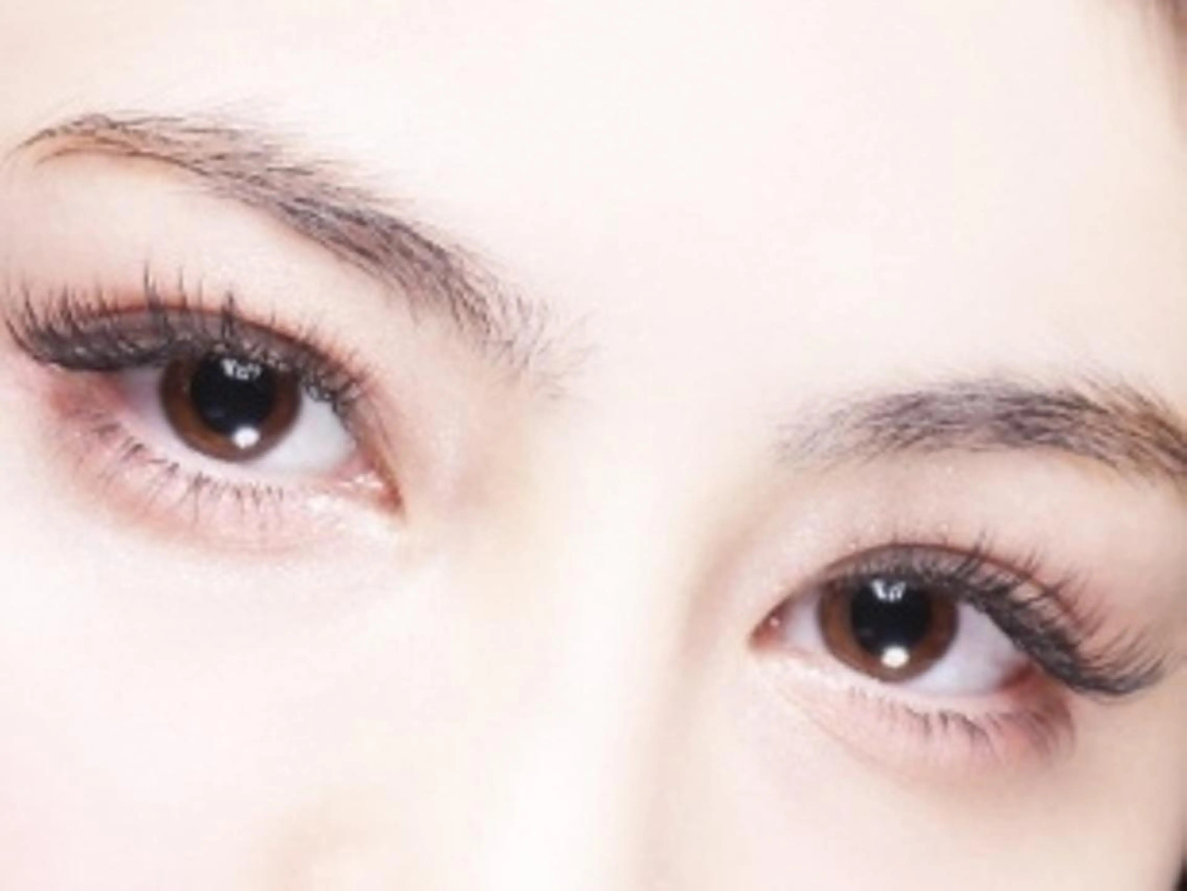 マツエク・マツパ Adii & Lash 柏本店の眉毛・アイブロウイメージ