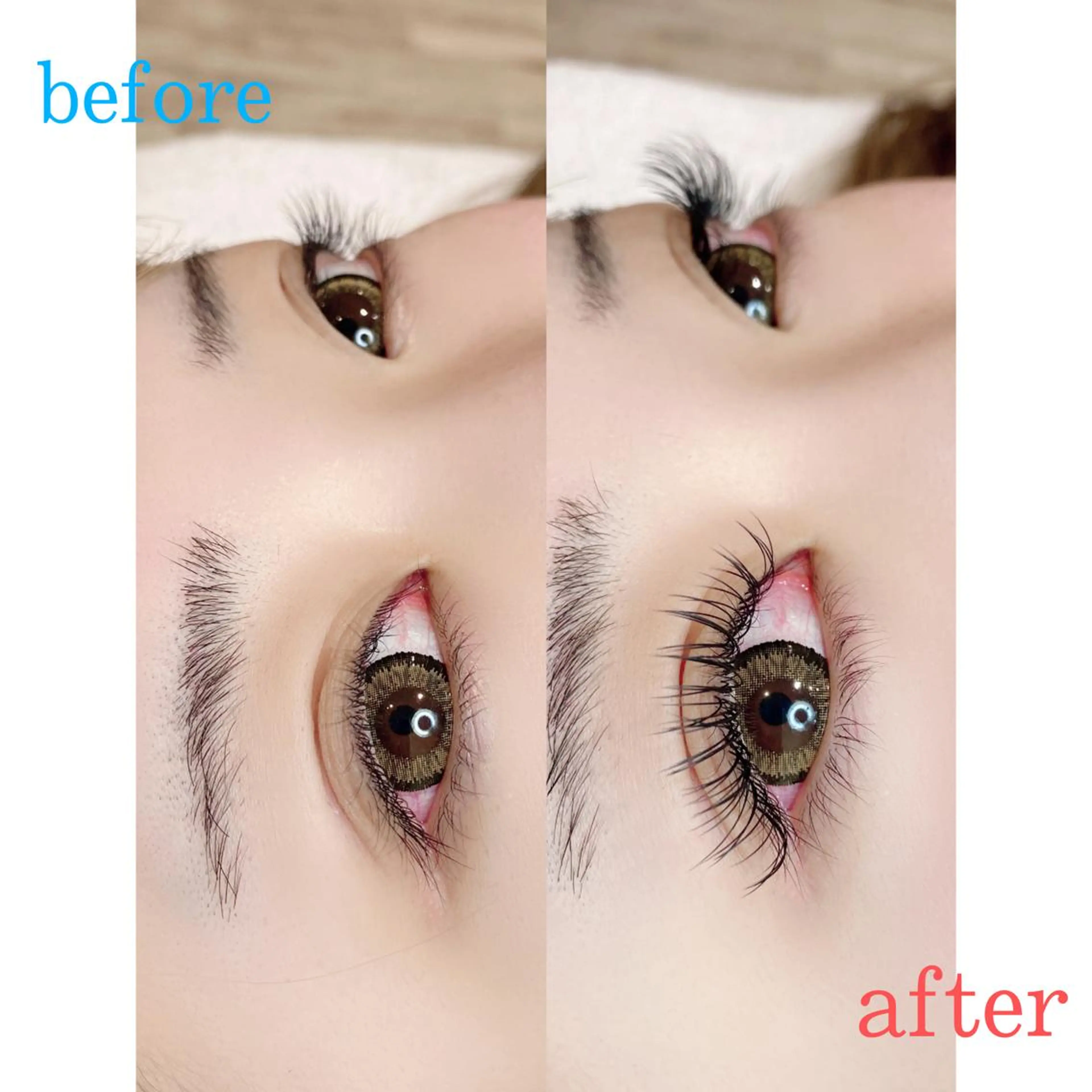 フラットラッシュ 120本 ✨ (90分) ¥0の写真