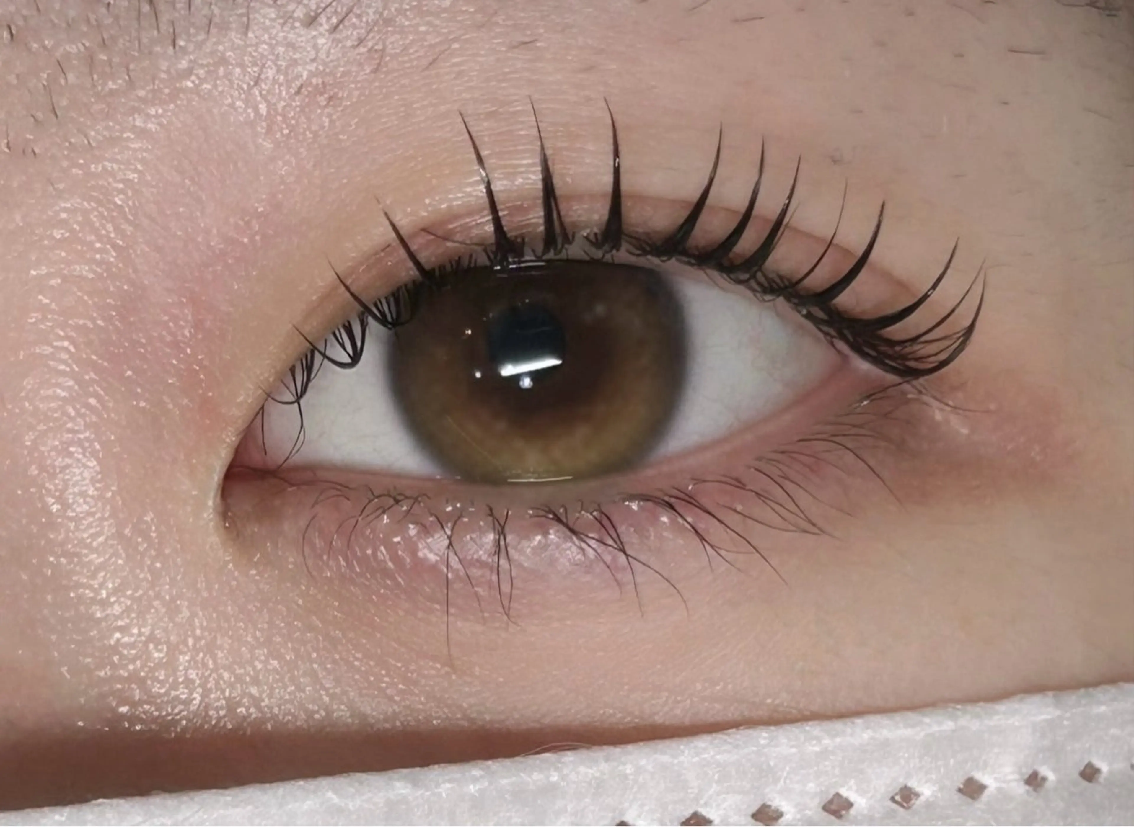 マツエク・マツパ ᴘʟᴀᴛɪɴᴜᴍ ᴅᴏʟʟえば🫧のマツエク・マツパデザイン