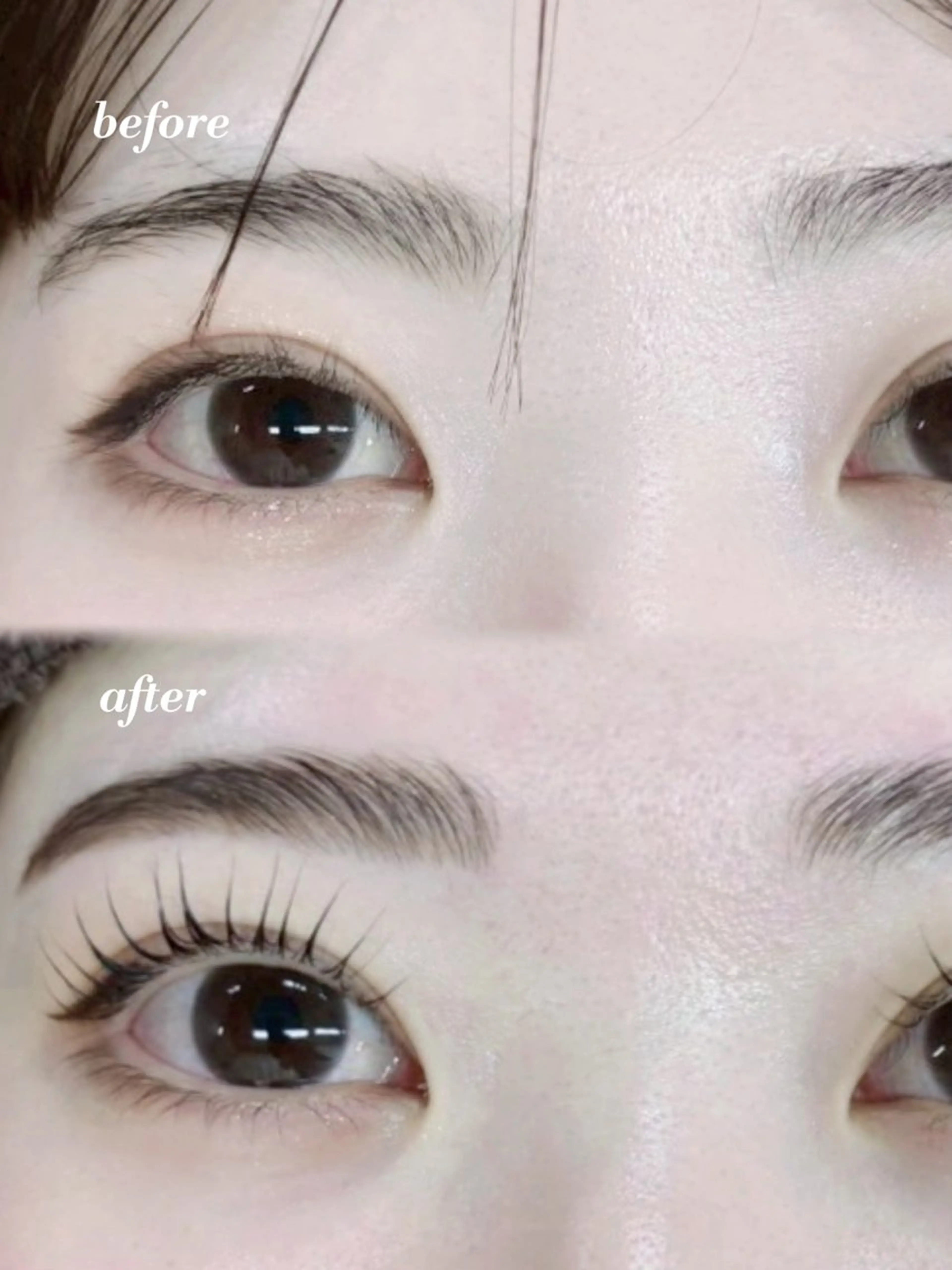 【 12月限定 】 眉パーマ,HBL➕まつ毛パーマ🎀♩ （ 眉毛メイク・まつ毛コーティング剤お仕上げ付き ）の写真