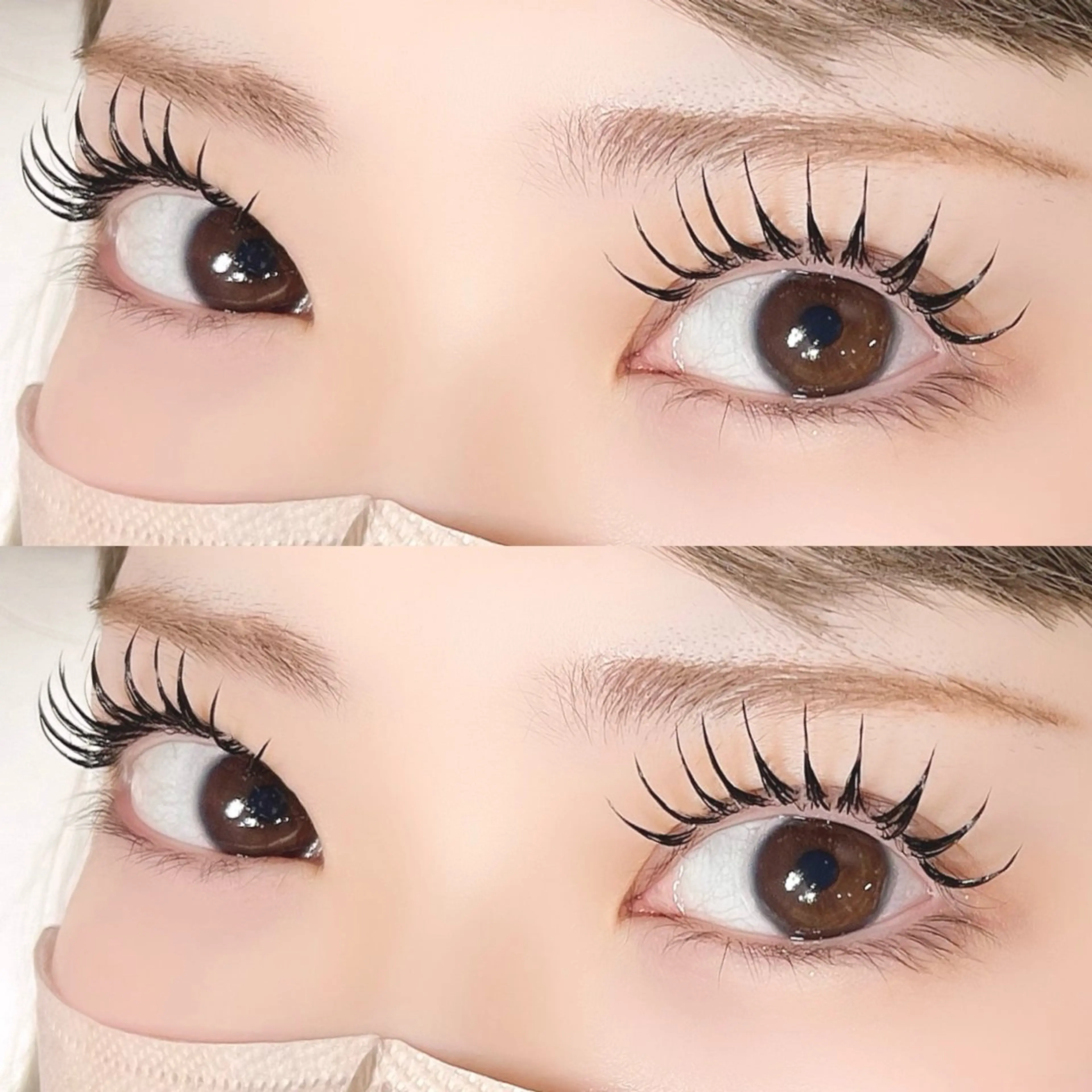 パリエク 80本(オフ込み)の写真