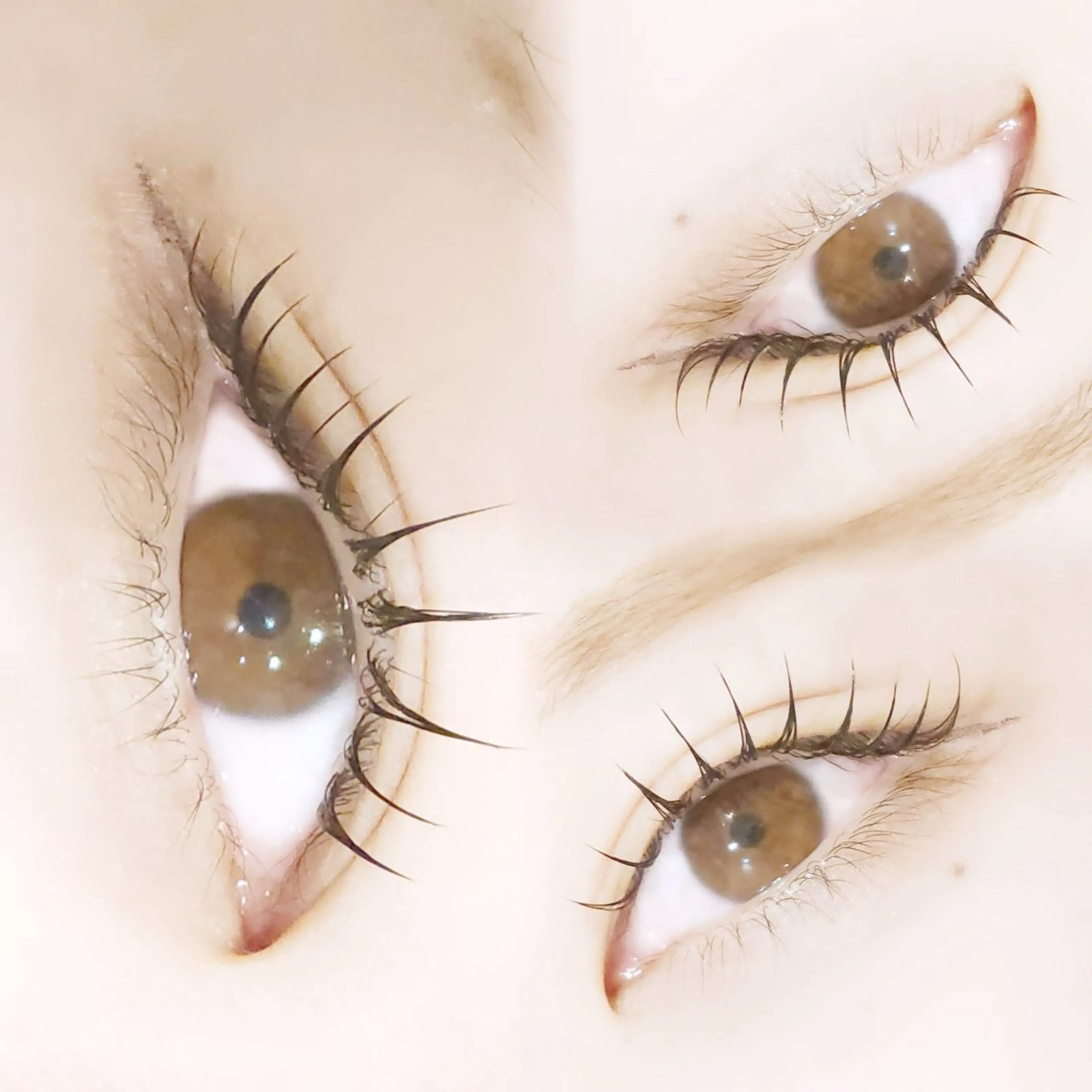 マツエク・マツパ マツパ GALLARIA MIKOのマツエク・マツパデザイン