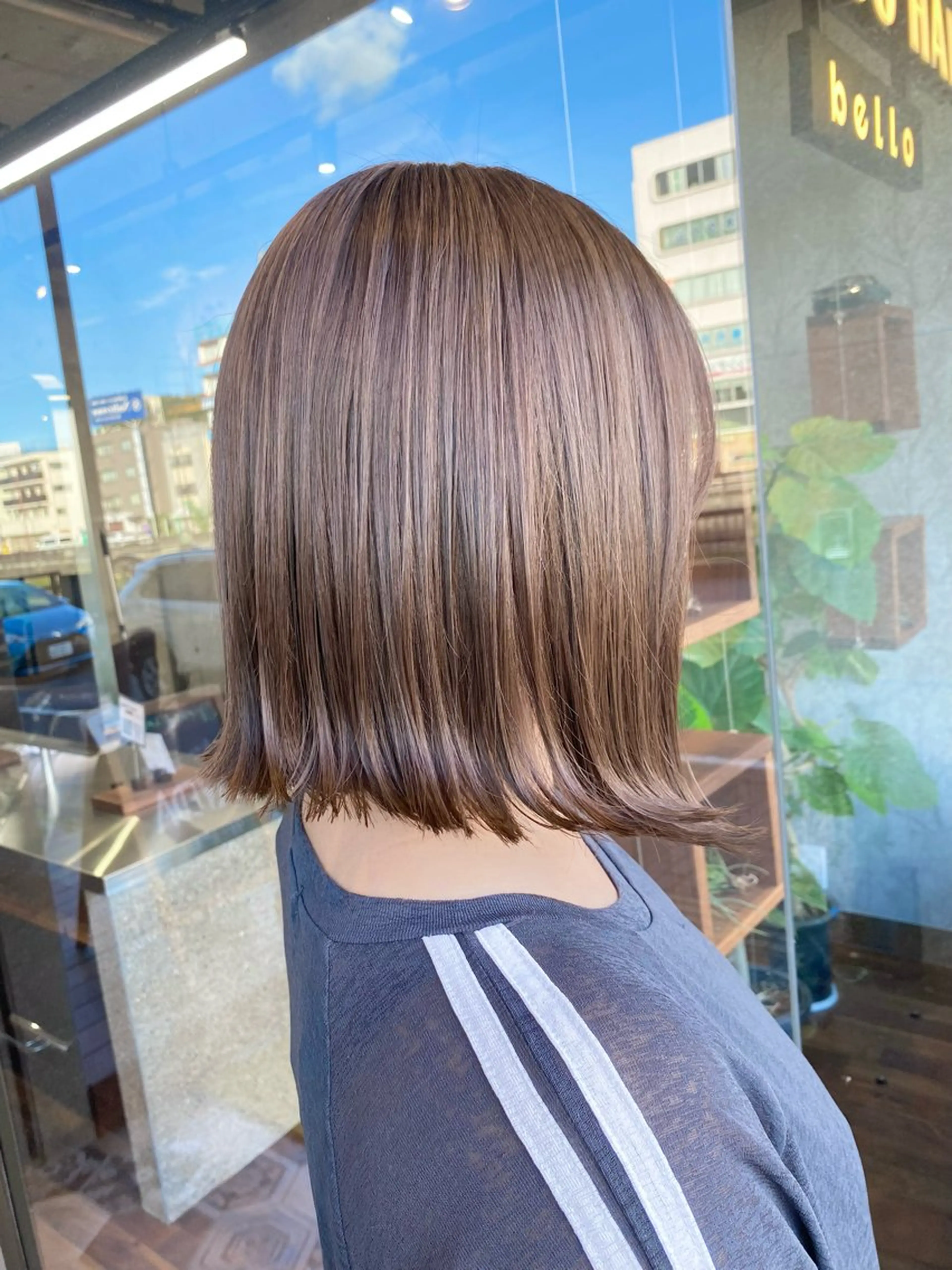 🩵ミニモ限定🩵カット+センサリージャーニー付き🪴の写真