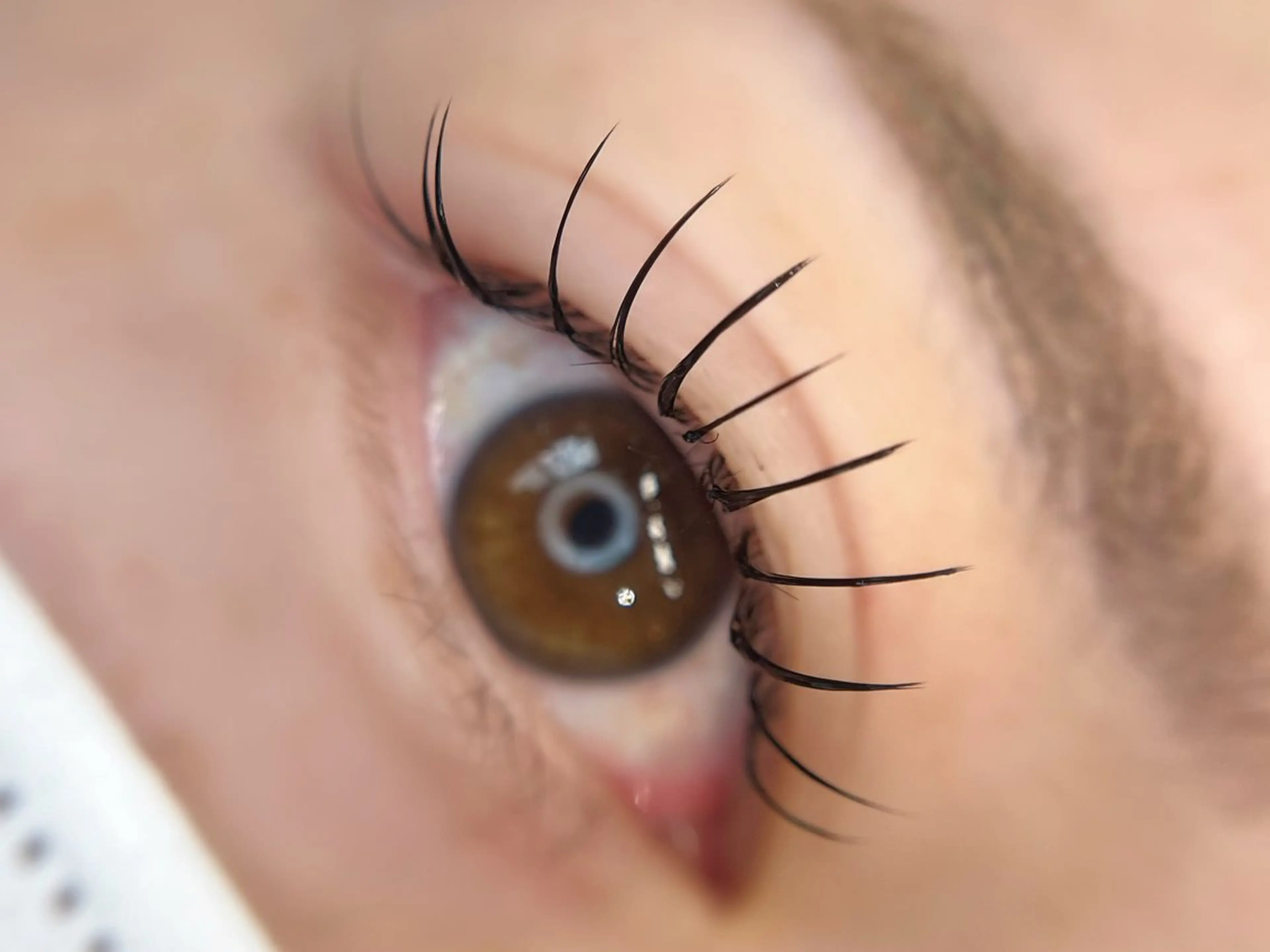 【新規限定】フラットラッシュ120本or140本の写真