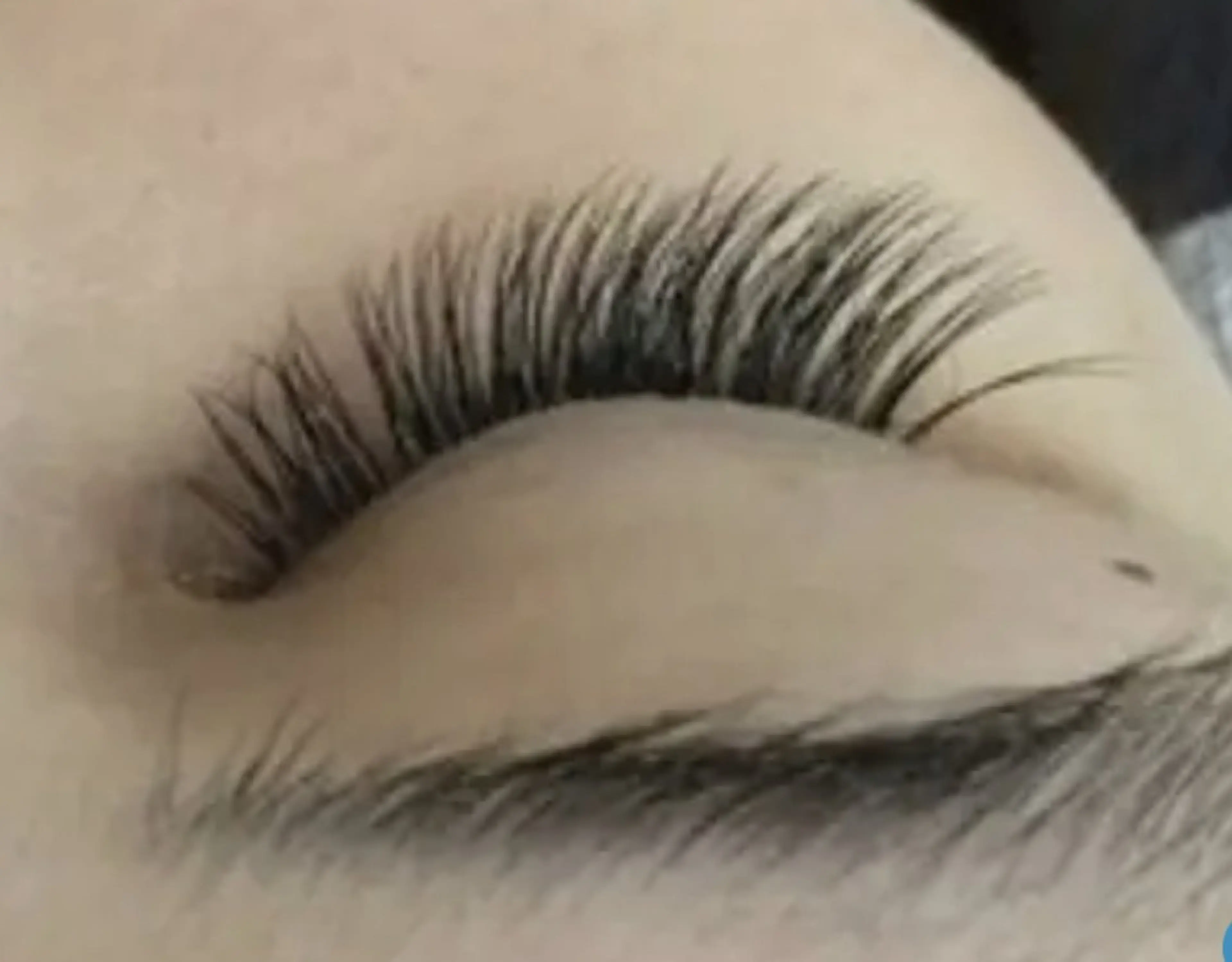 人気ナンバーワン フラットラッシュ 160本の写真