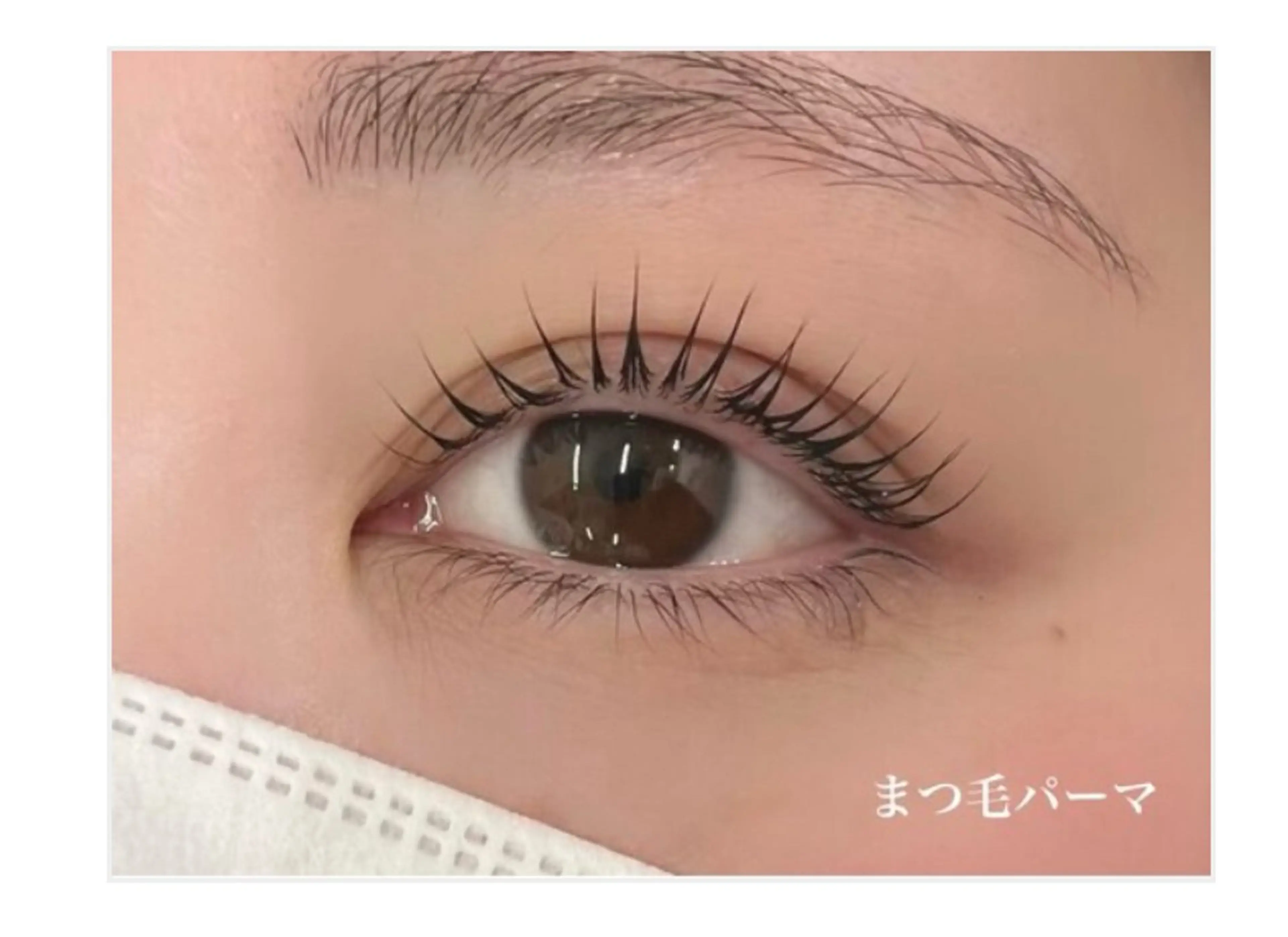 12/10(木)限定✨️【無料】下まつ毛のみパーマの写真