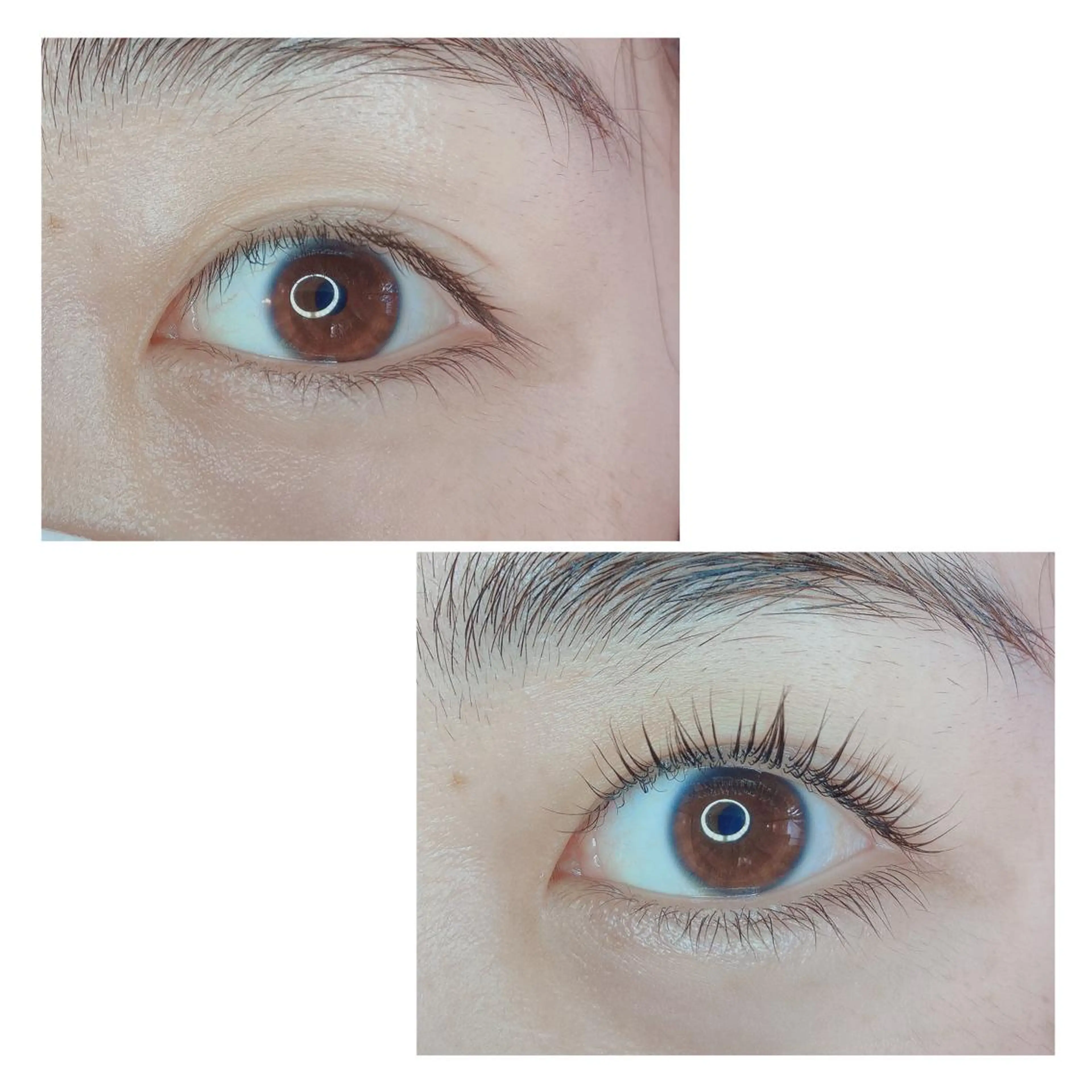 マツエク・マツパ TIARA池袋西口店 店長YASUKA💐のマツエク・マツパデザイン