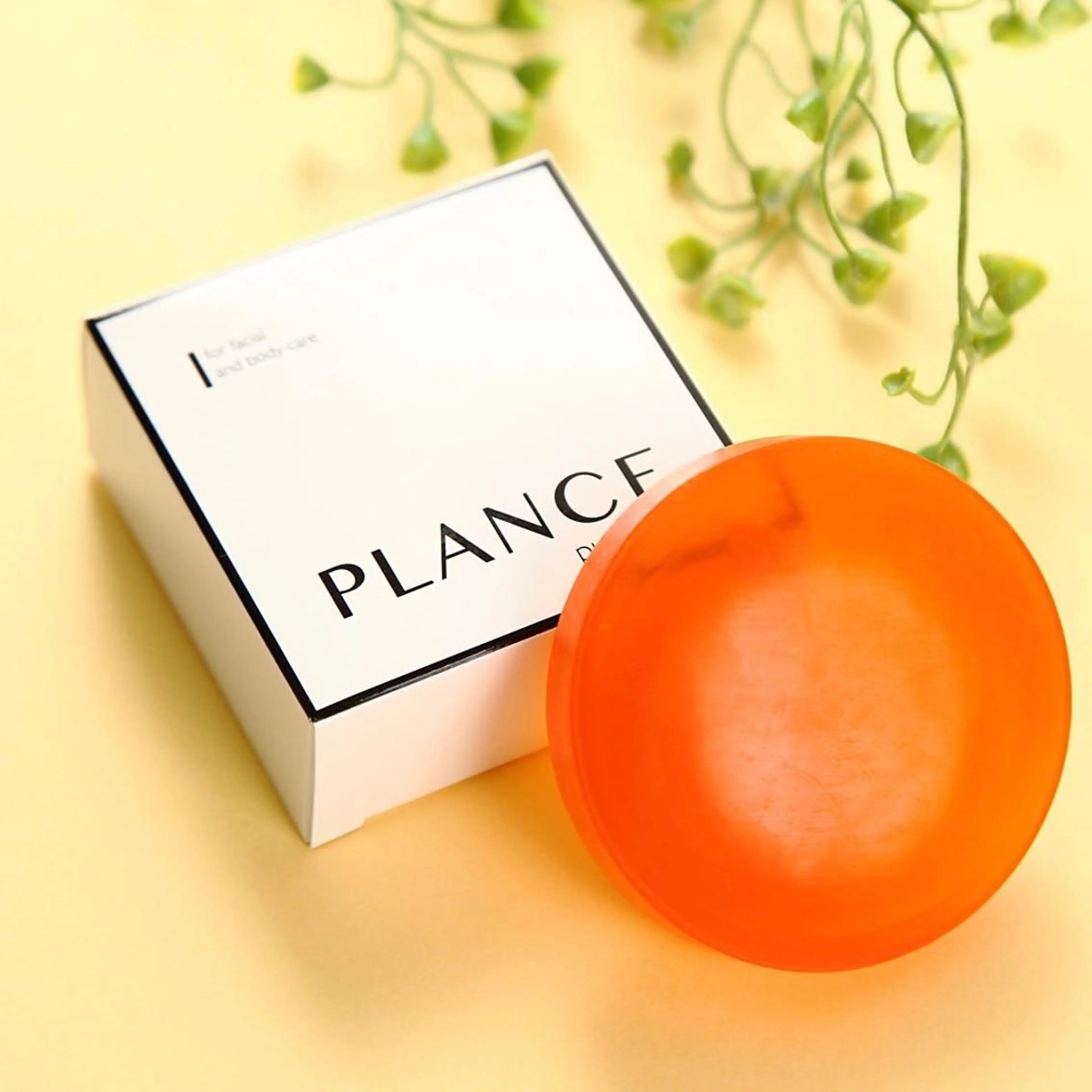 エステ フェイシャル専門 肌質改善/プランスのエステ・リラクイメージ